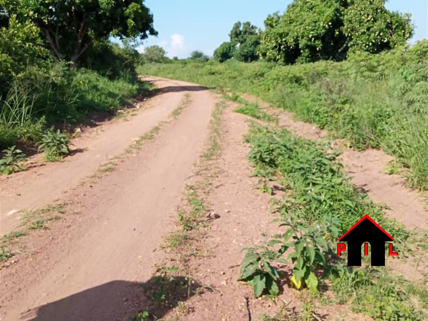 Agricultural Land for sale in Sasira Nakasongola