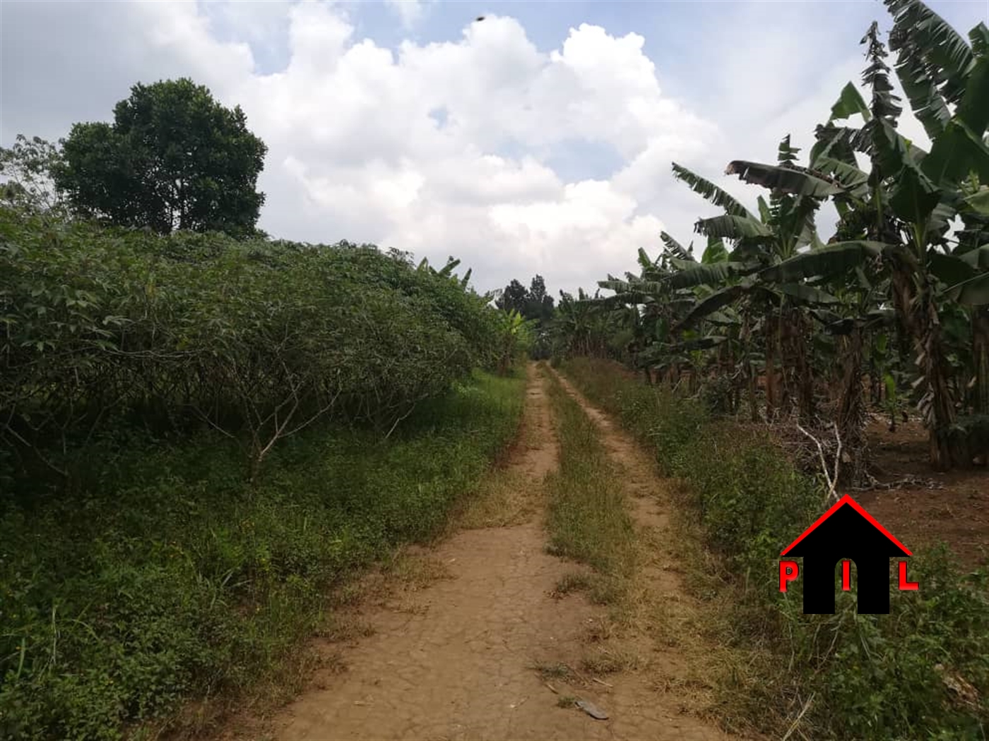 Agricultural Land for sale in Kalangaalo Mityana