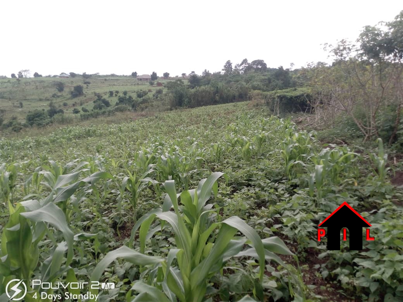 Agricultural Land for sale in Nkozi Masaka