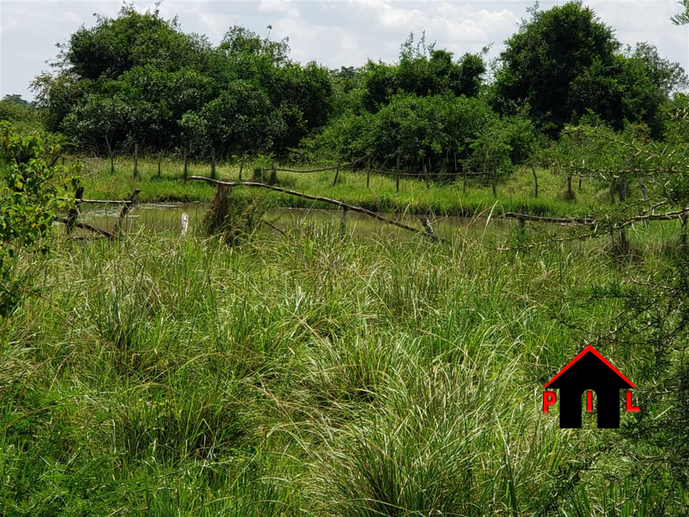 Agricultural Land for sale in Ngoma Nakaseke