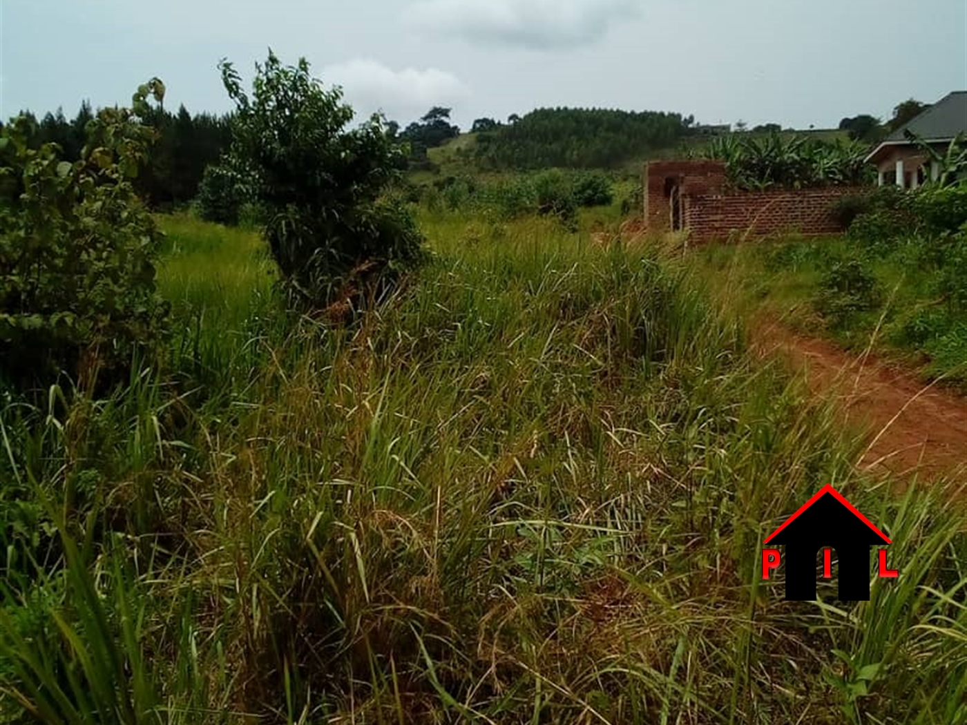 Agricultural Land for sale in Ssisa Wakiso