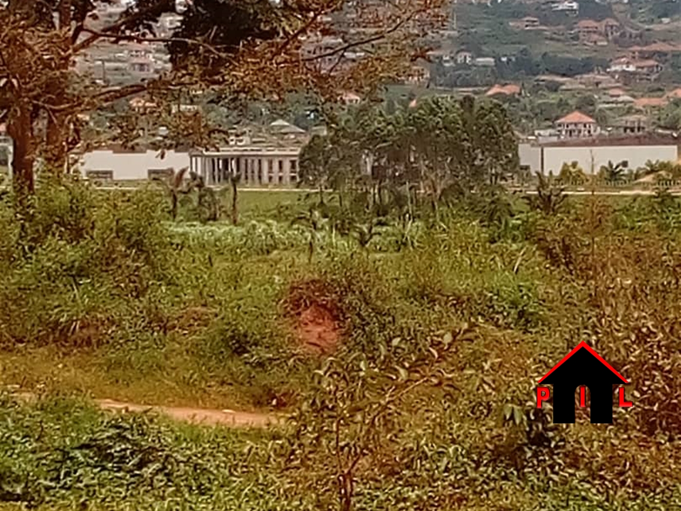 Agricultural Land for sale in Ssisa Wakiso