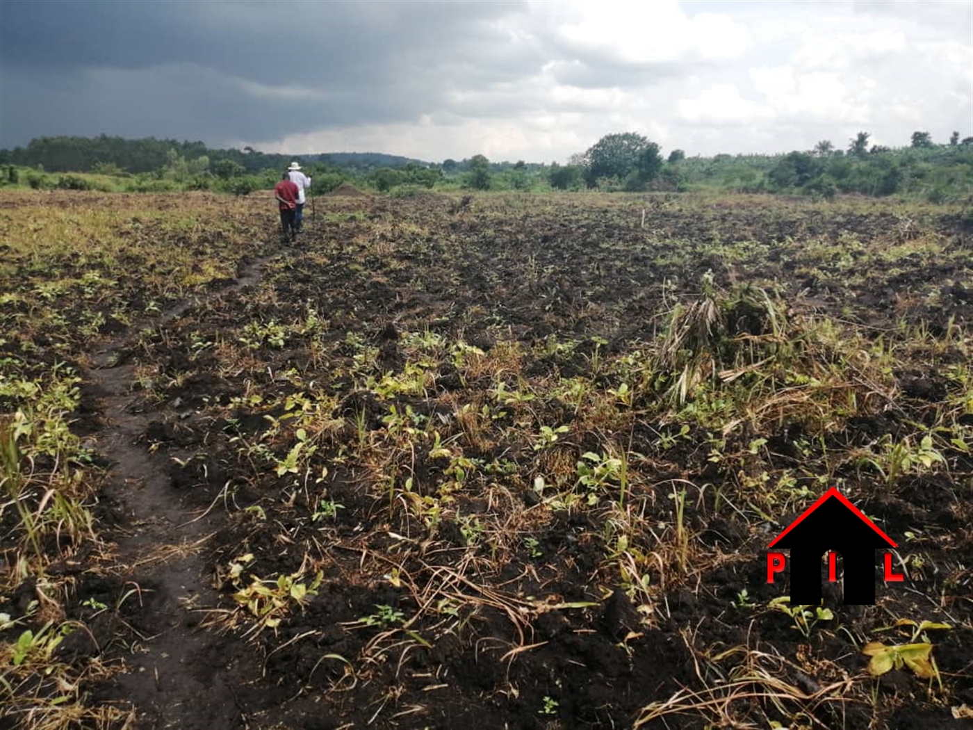 Agricultural Land for sale in Kyanamukaaka Masaka