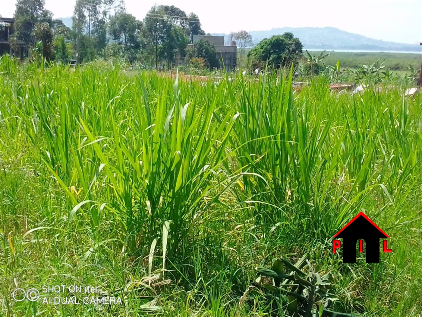 Residential Land for sale in Kajjansi Wakiso