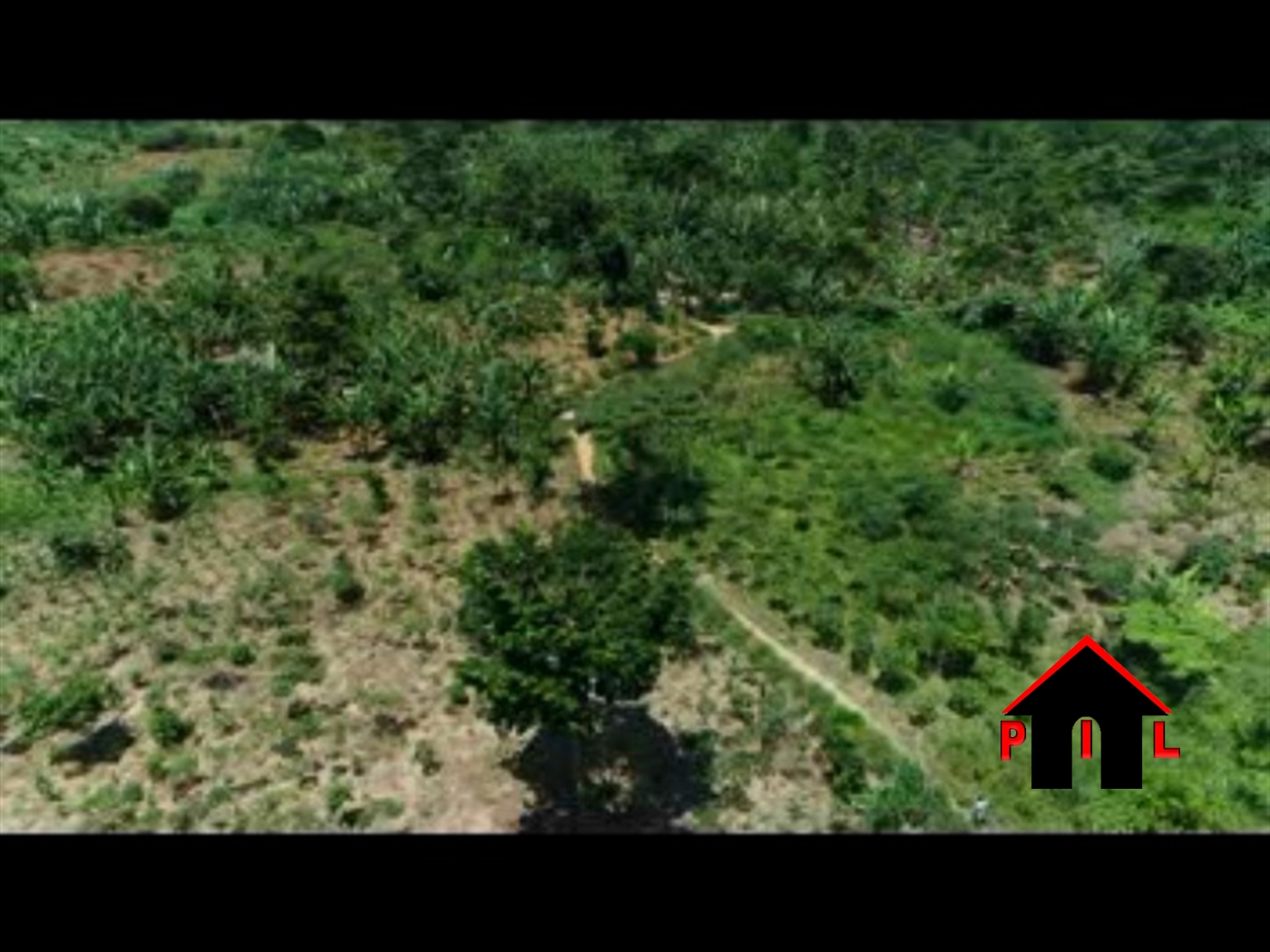 Agricultural Land for sale in Damba Wakiso
