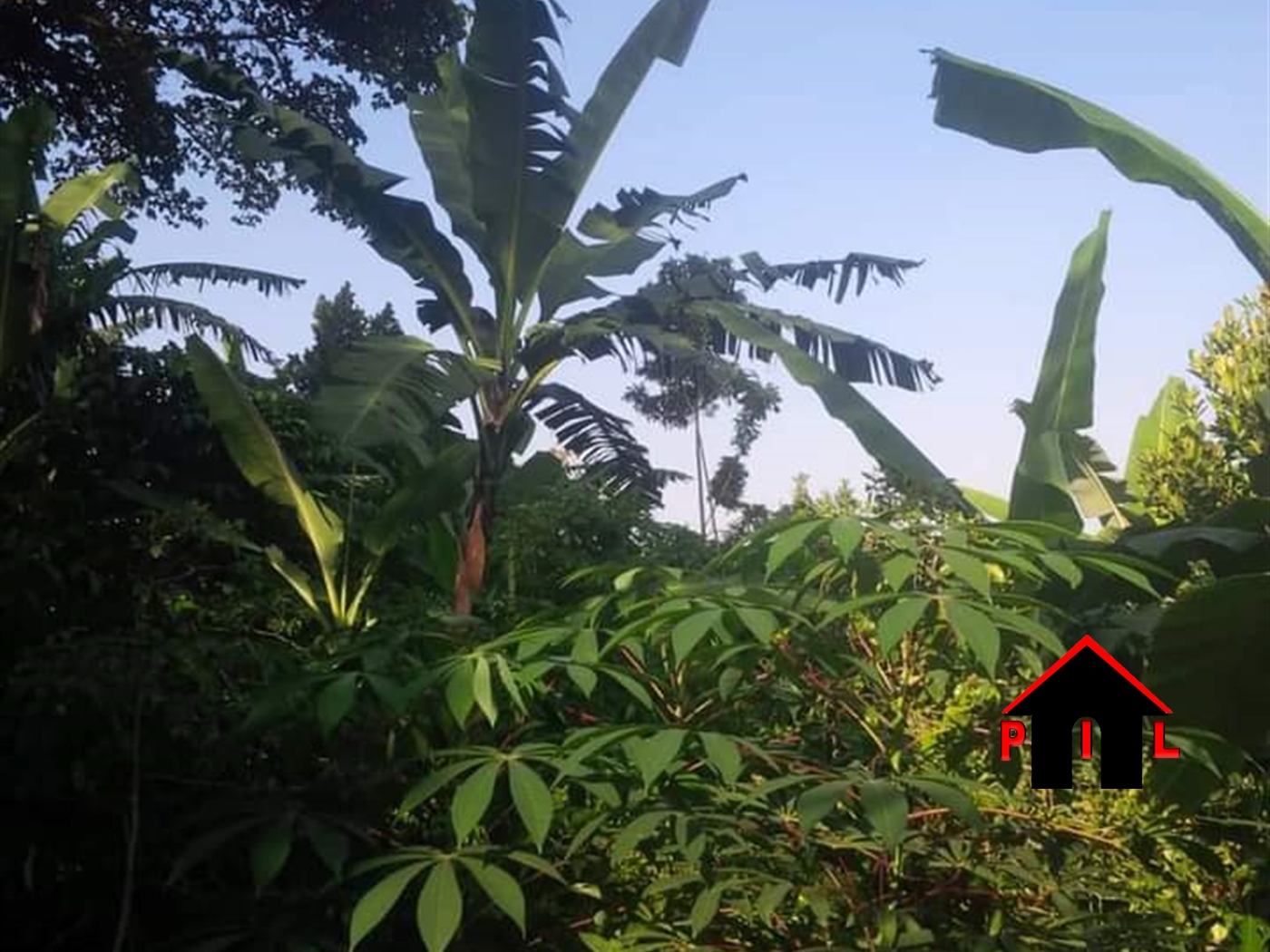 Agricultural Land for sale in Najimbe Jinja