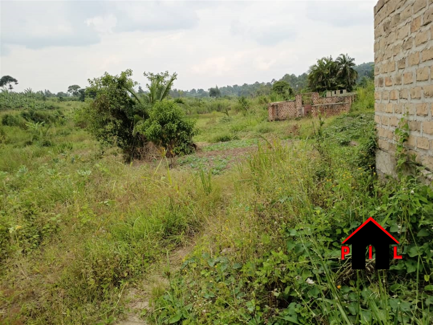 Agricultural Land for sale in Najjembe Mukono
