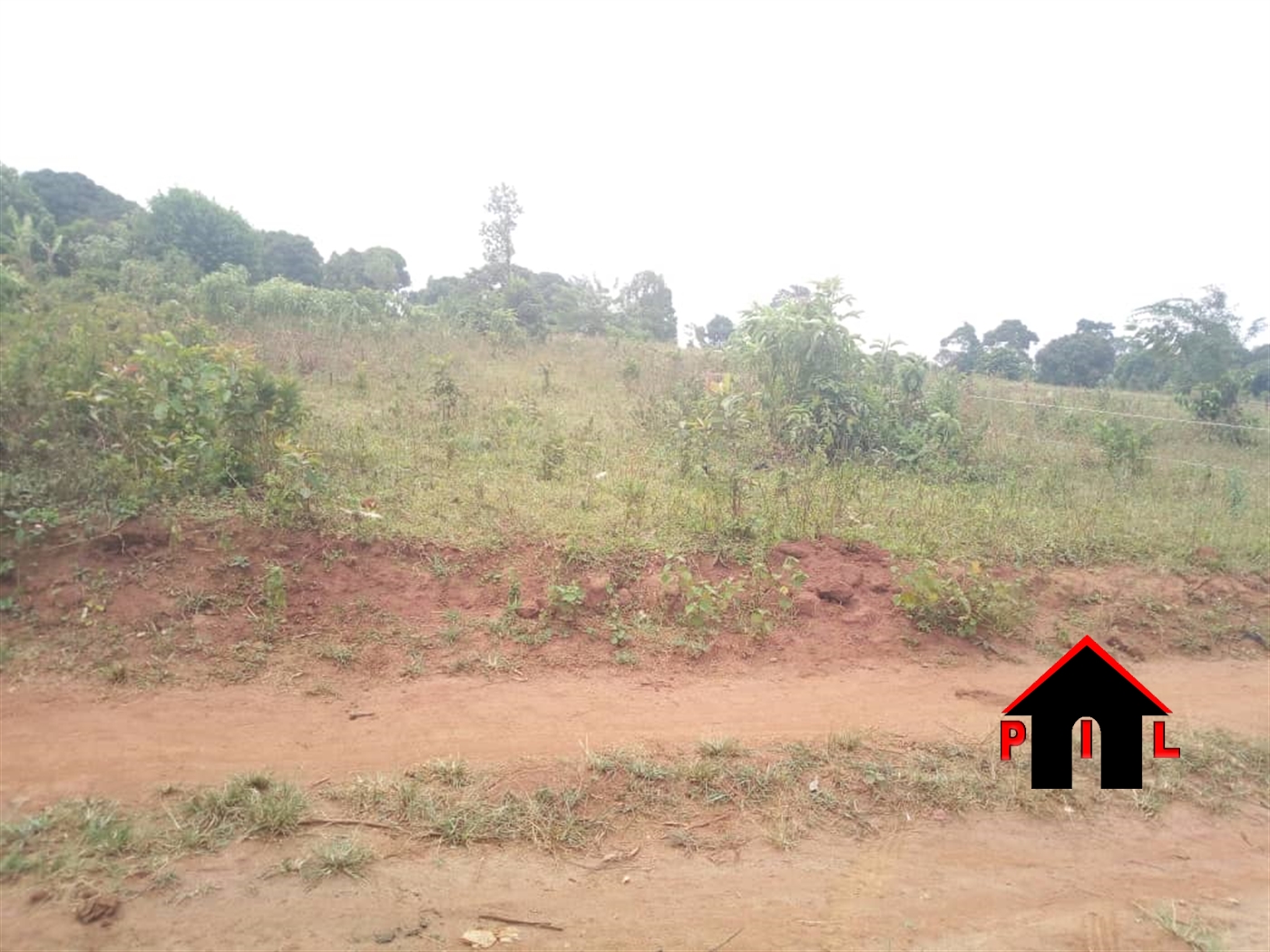 Agricultural Land for sale in Nakirebe Masaka