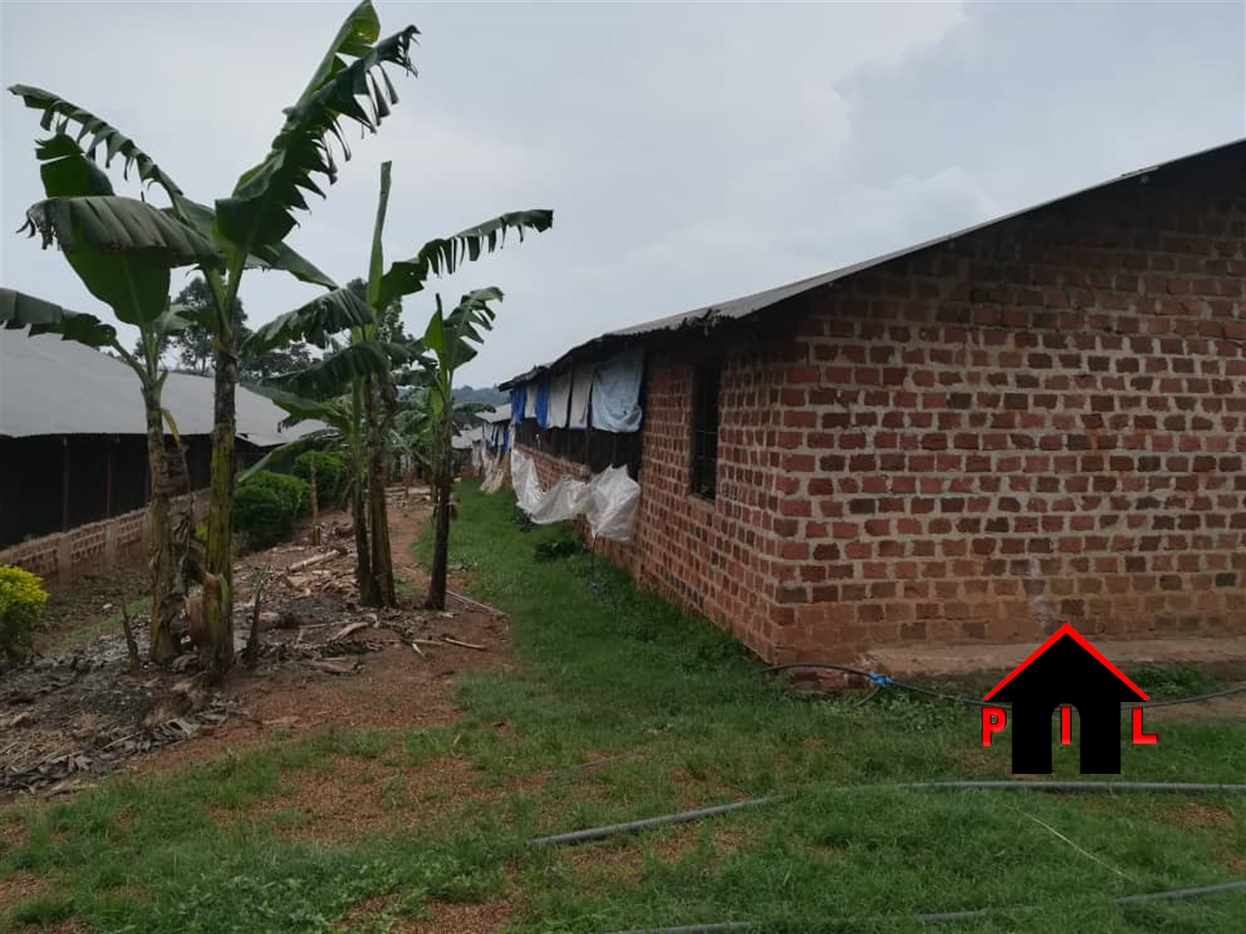 Residential Land for sale in Buwambo Wakiso