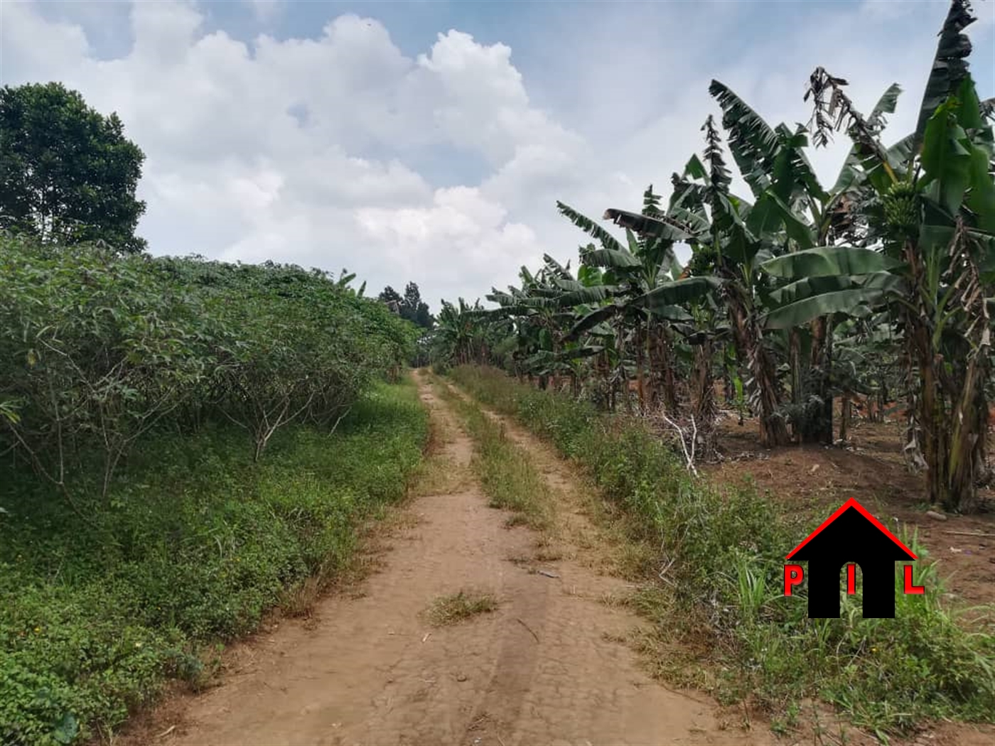 Agricultural Land for sale in Bulera Gomba