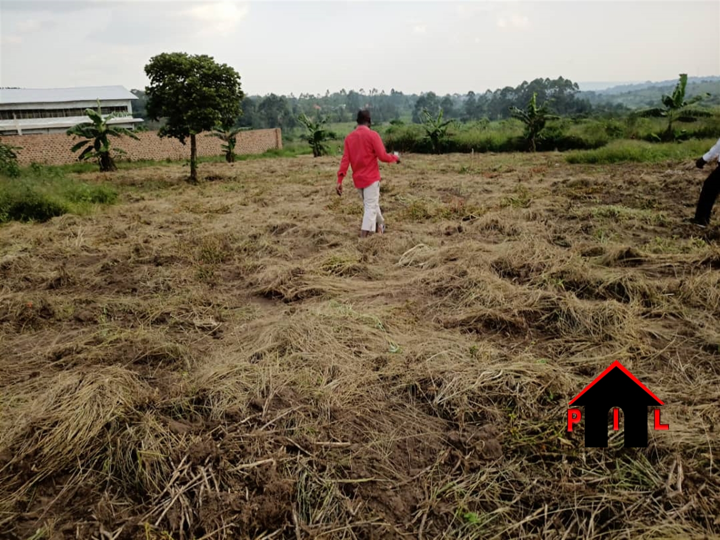 Agricultural Land for sale in Damba Wakiso