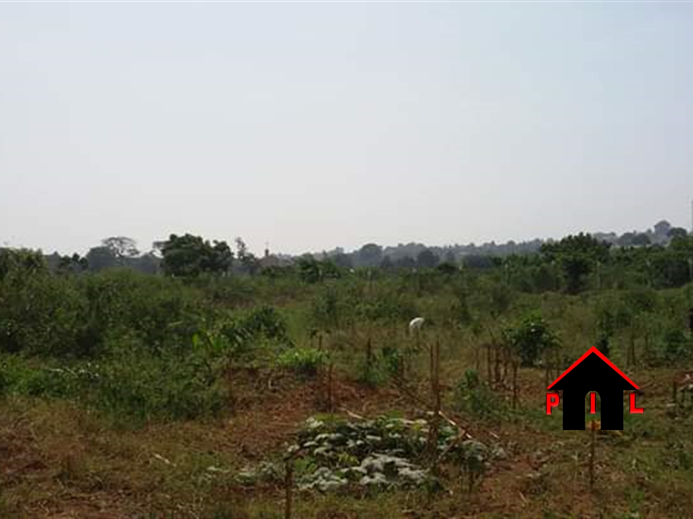 Agricultural Land for sale in Njeru Wakiso