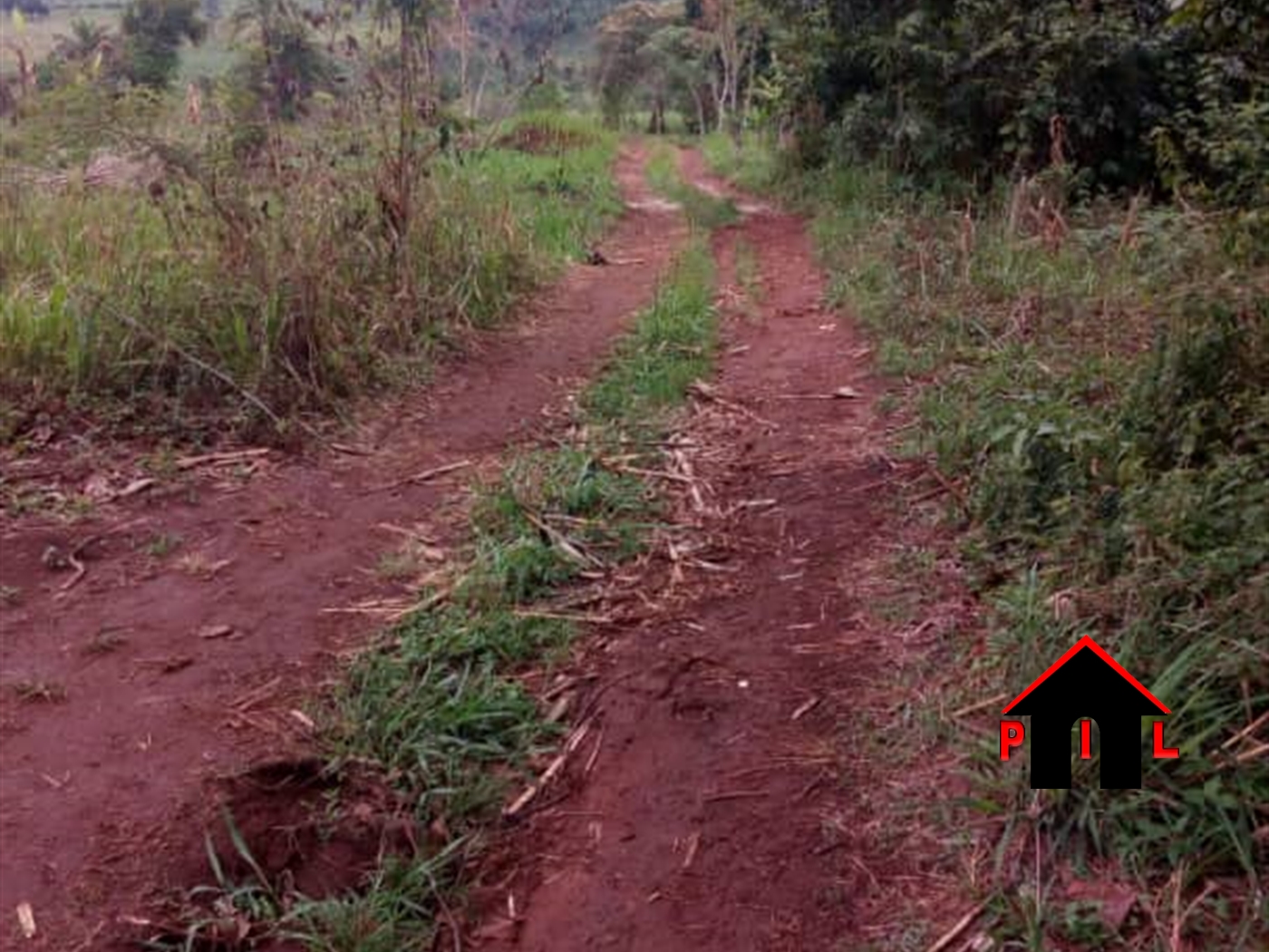 Agricultural Land for sale in Buwekula Mubende