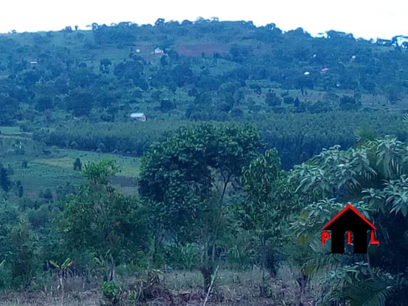 Agricultural Land for sale in Nakifuma Mukono