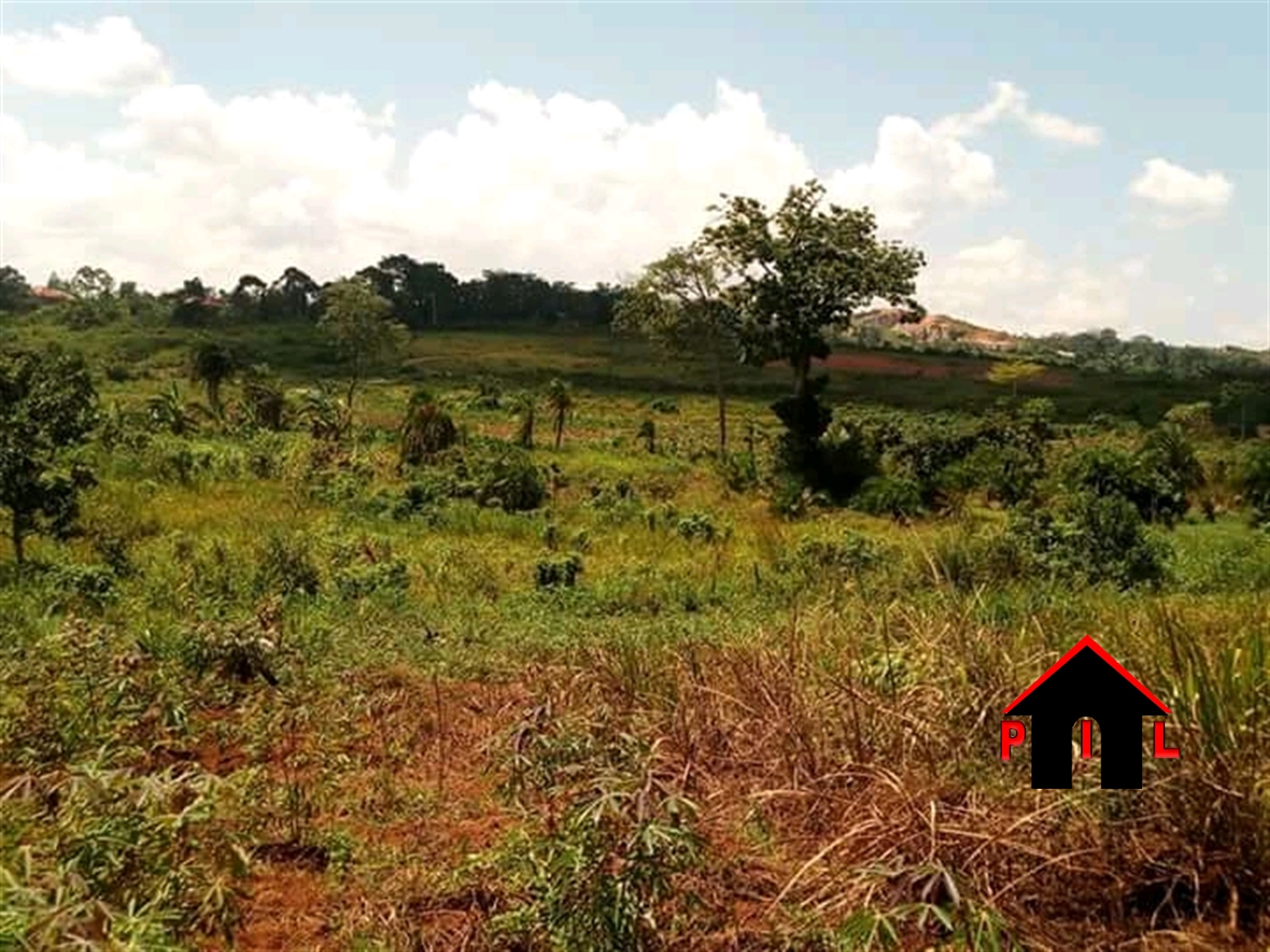 Agricultural Land for sale in Aswa Amuru