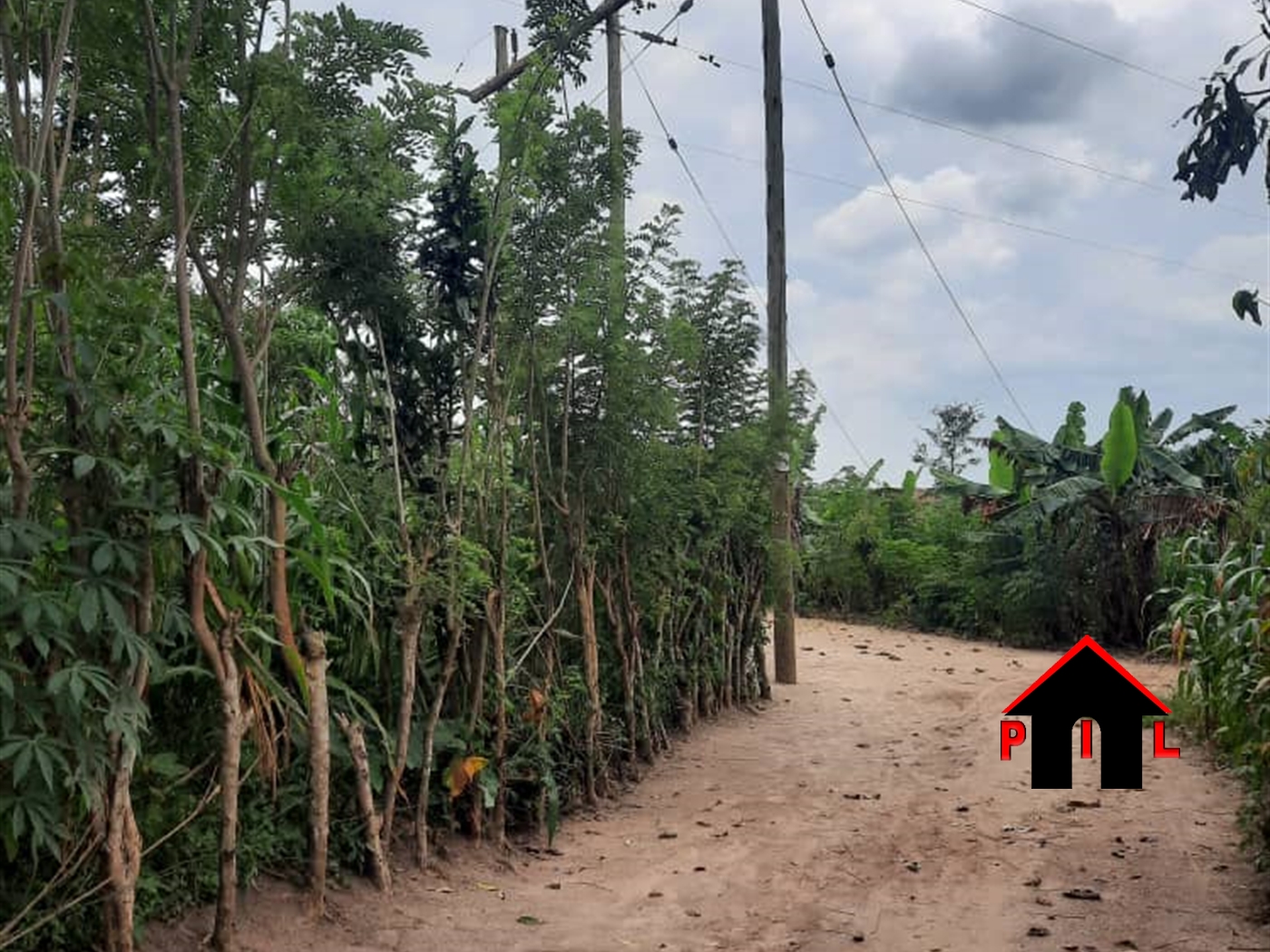 Agricultural Land for sale in Nakirebe Masaka