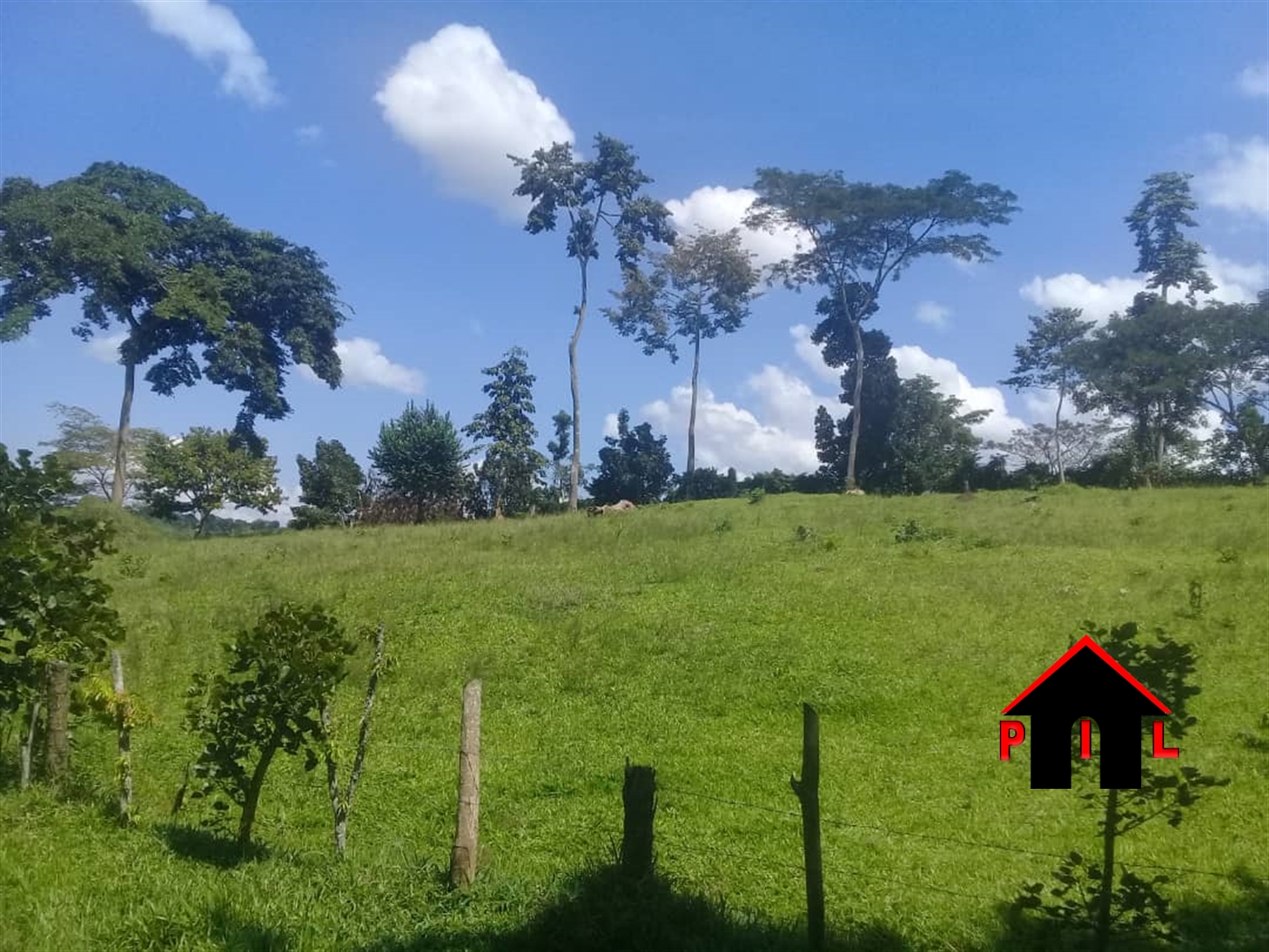 Agricultural Land for sale in Busunjju Mityana