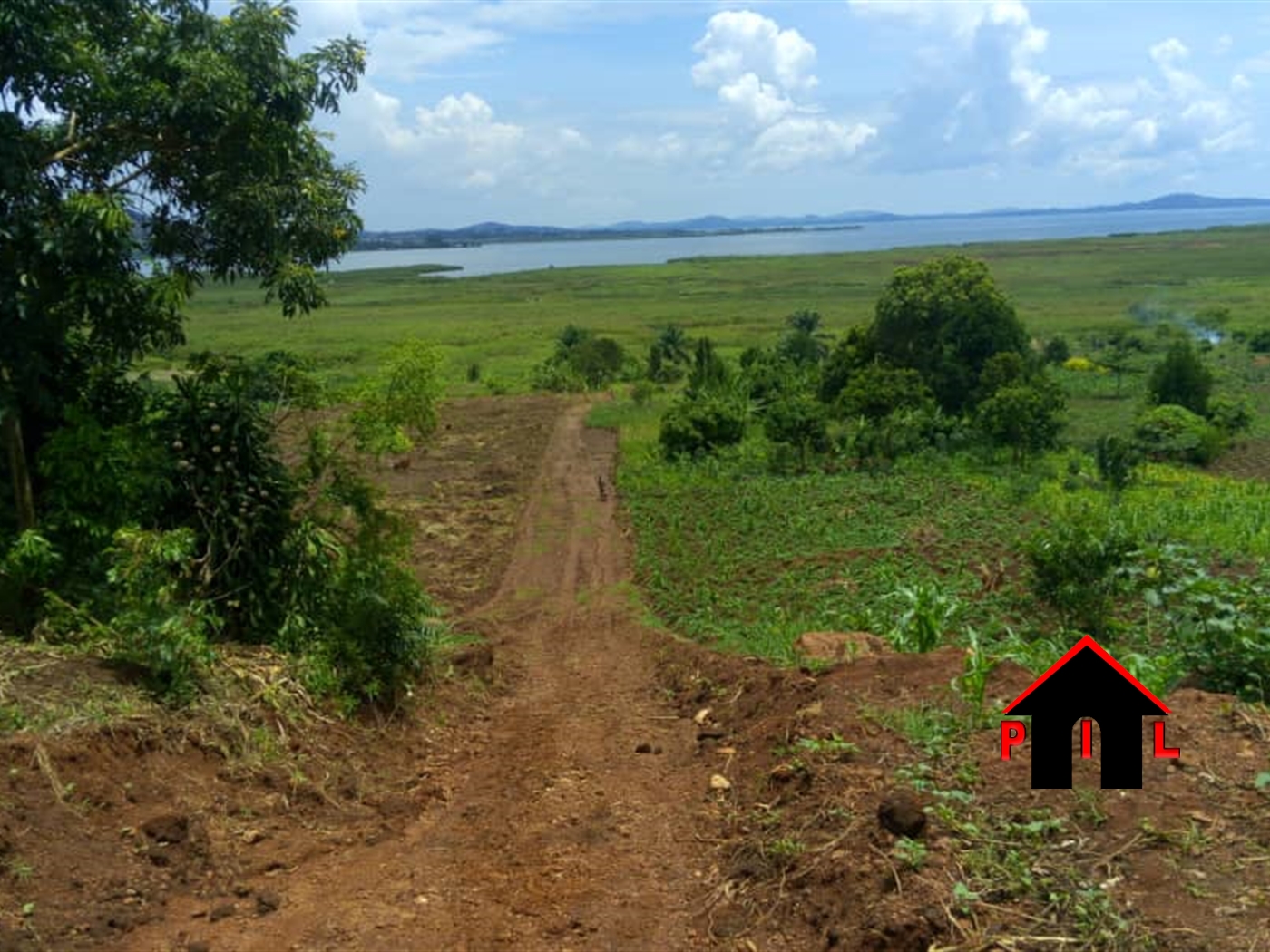 Agricultural Land for sale in Buso Wakiso