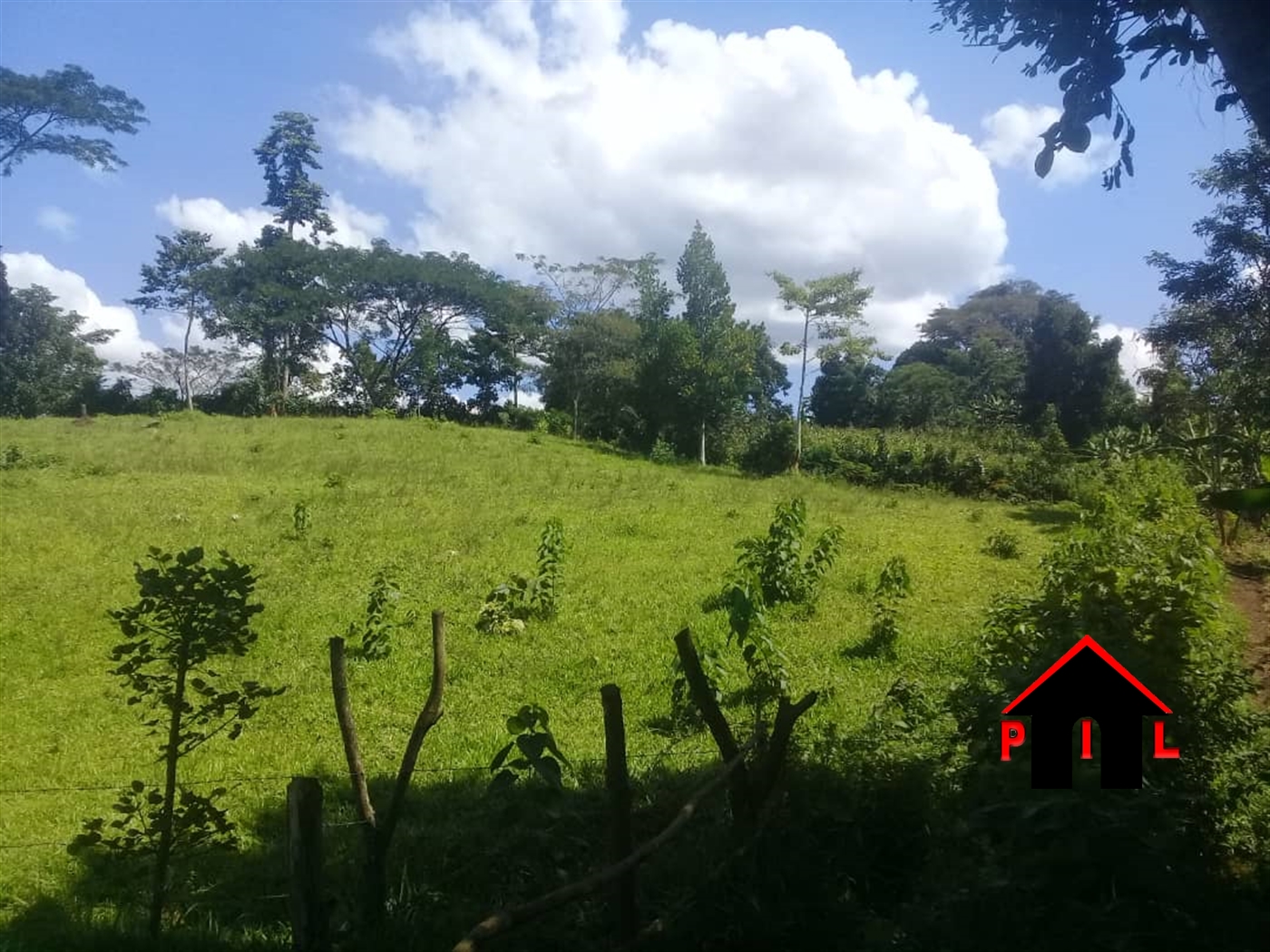 Agricultural Land for sale in Buso Wakiso