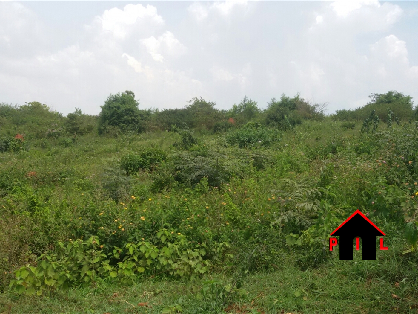 Agricultural Land for sale in Ziloobwe Wakiso