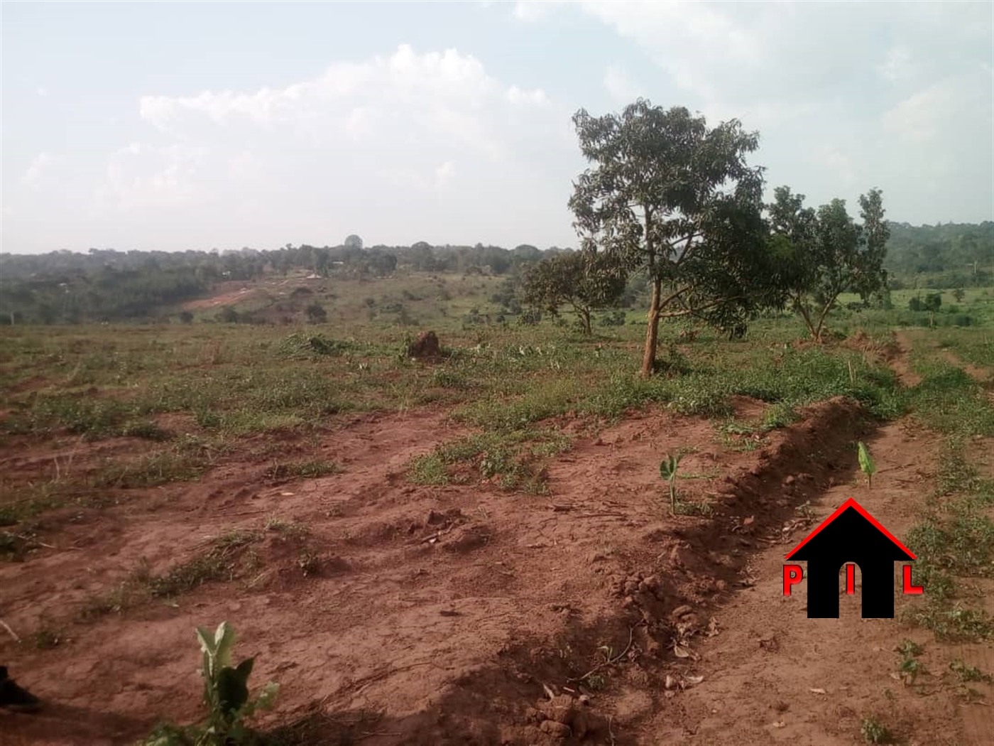 Agricultural Land for sale in Kasangati Wakiso