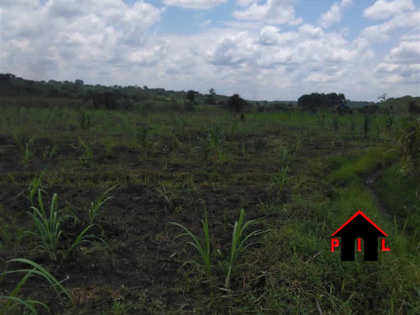 Agricultural Land for sale in Kyanamukaaka Masaka