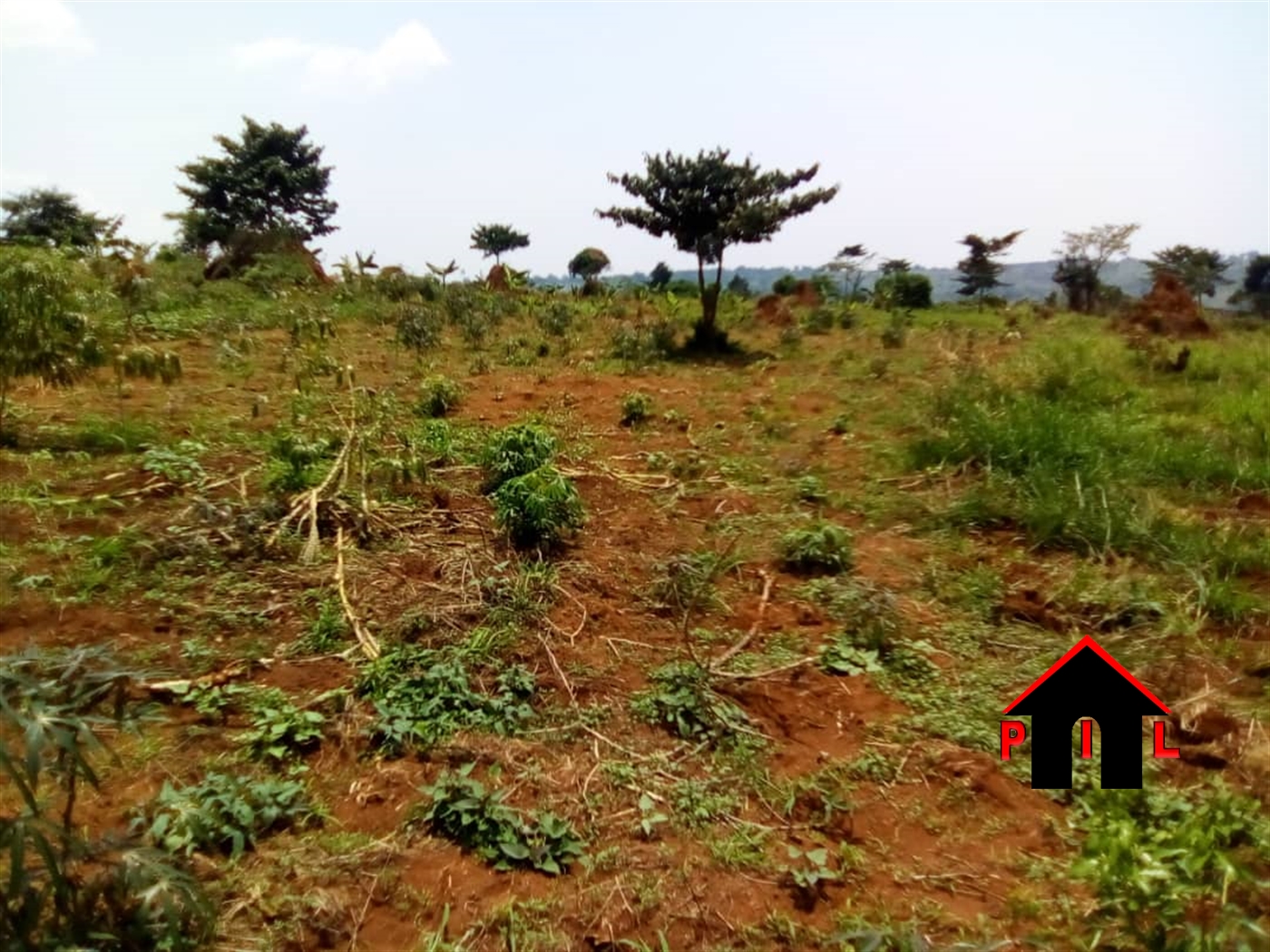 Agricultural Land for sale in Kyanamukaaka Masaka