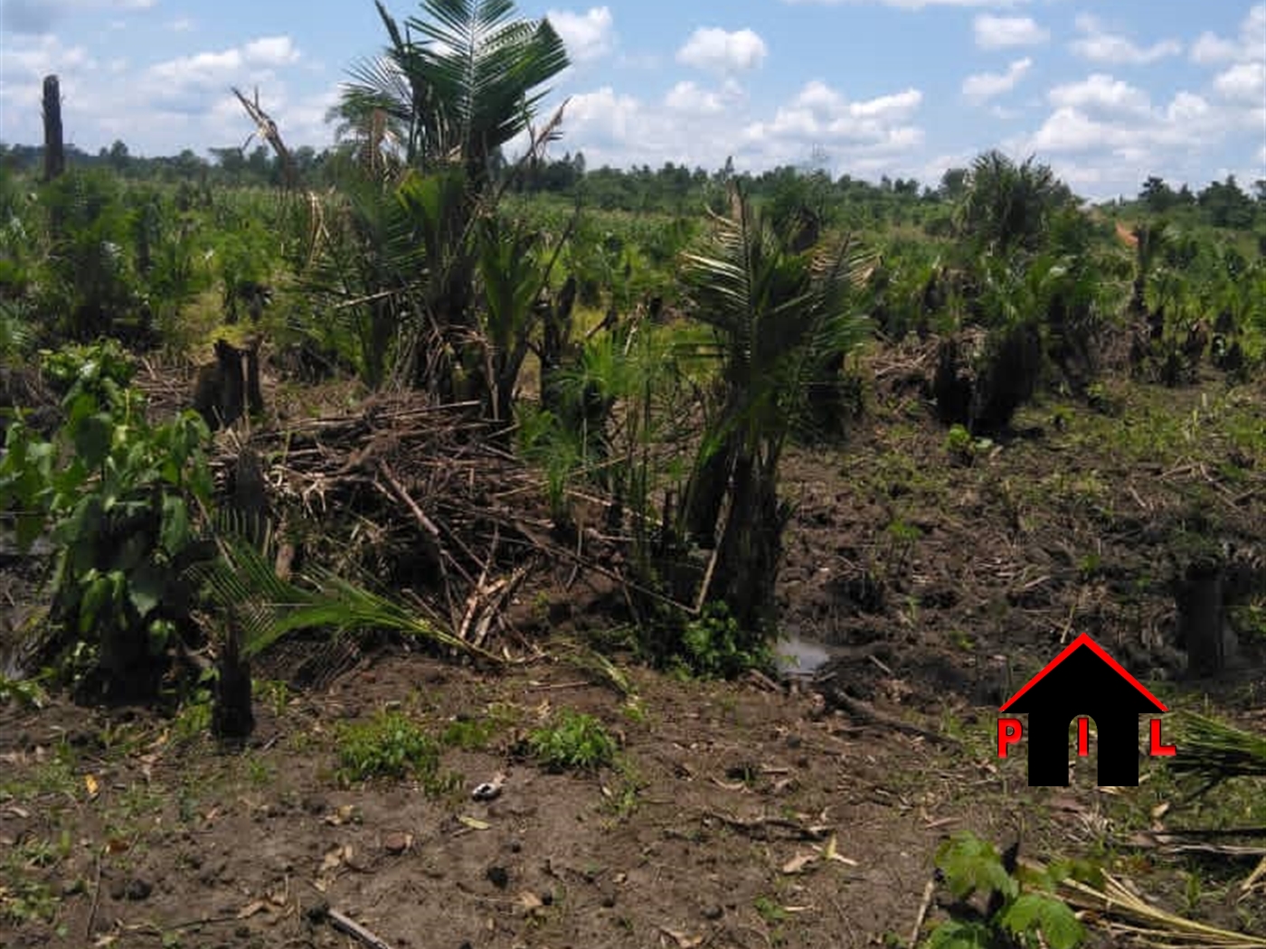 Agricultural Land for sale in Kapeke Nakaseke