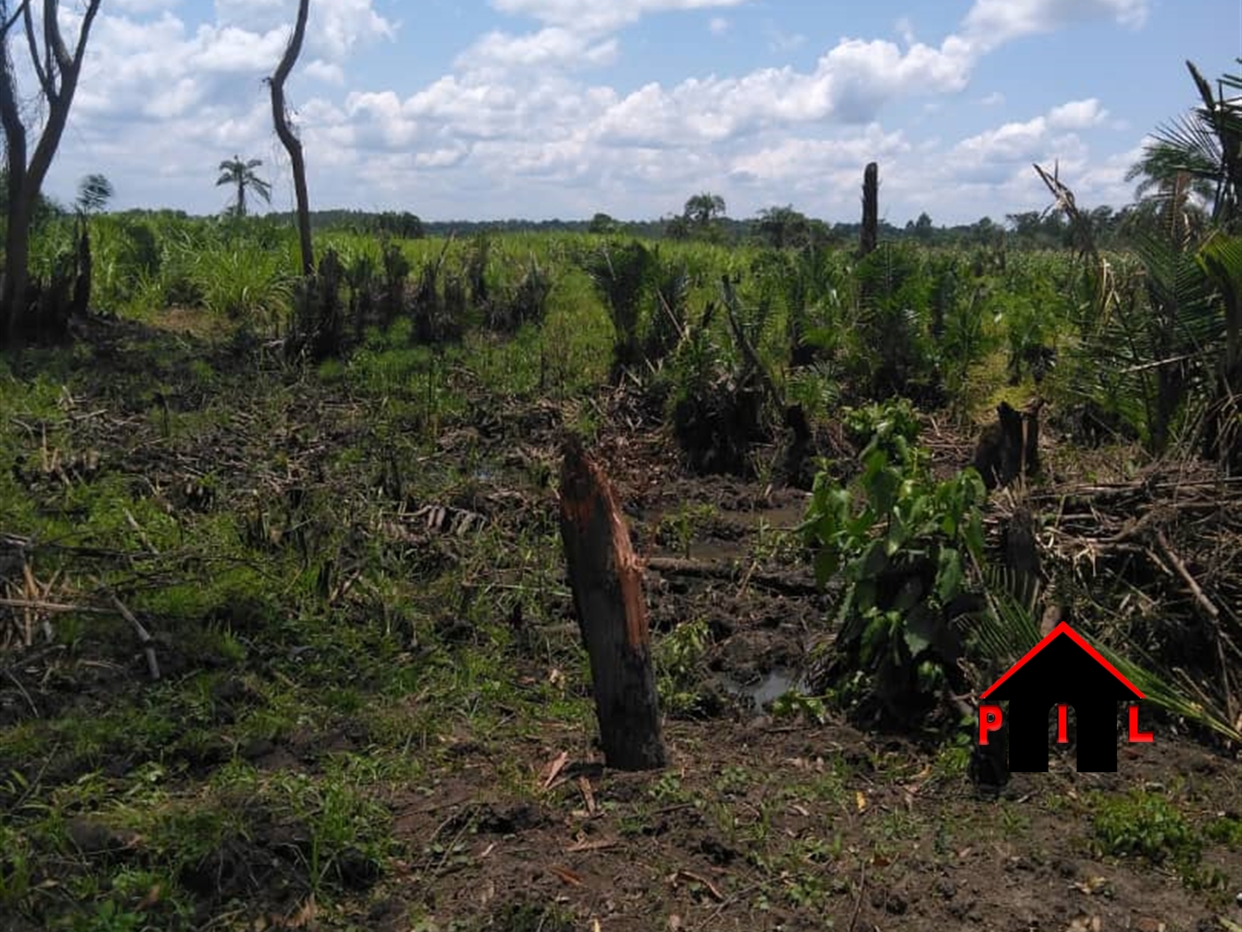 Agricultural Land for sale in Kapeke Nakaseke