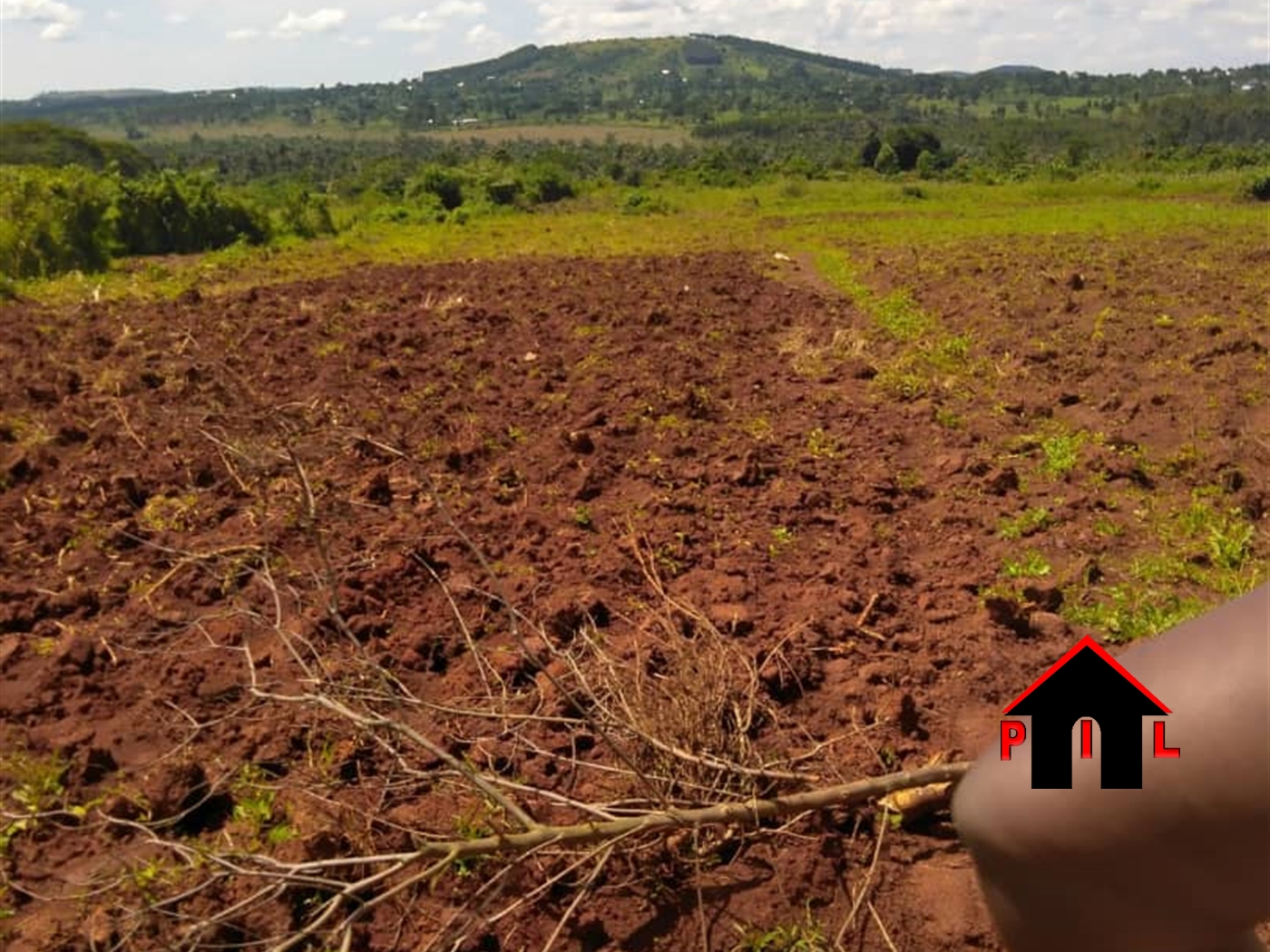 Agricultural Land for sale in Kapeeka Nakaseke