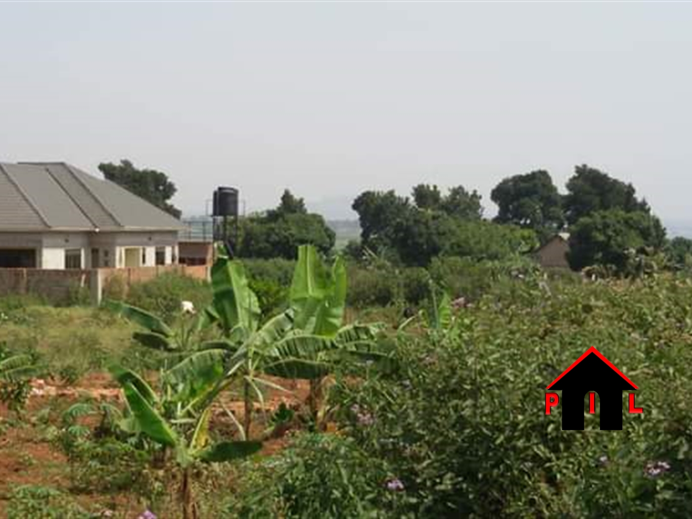 Agricultural Land for sale in Namusela Hoima