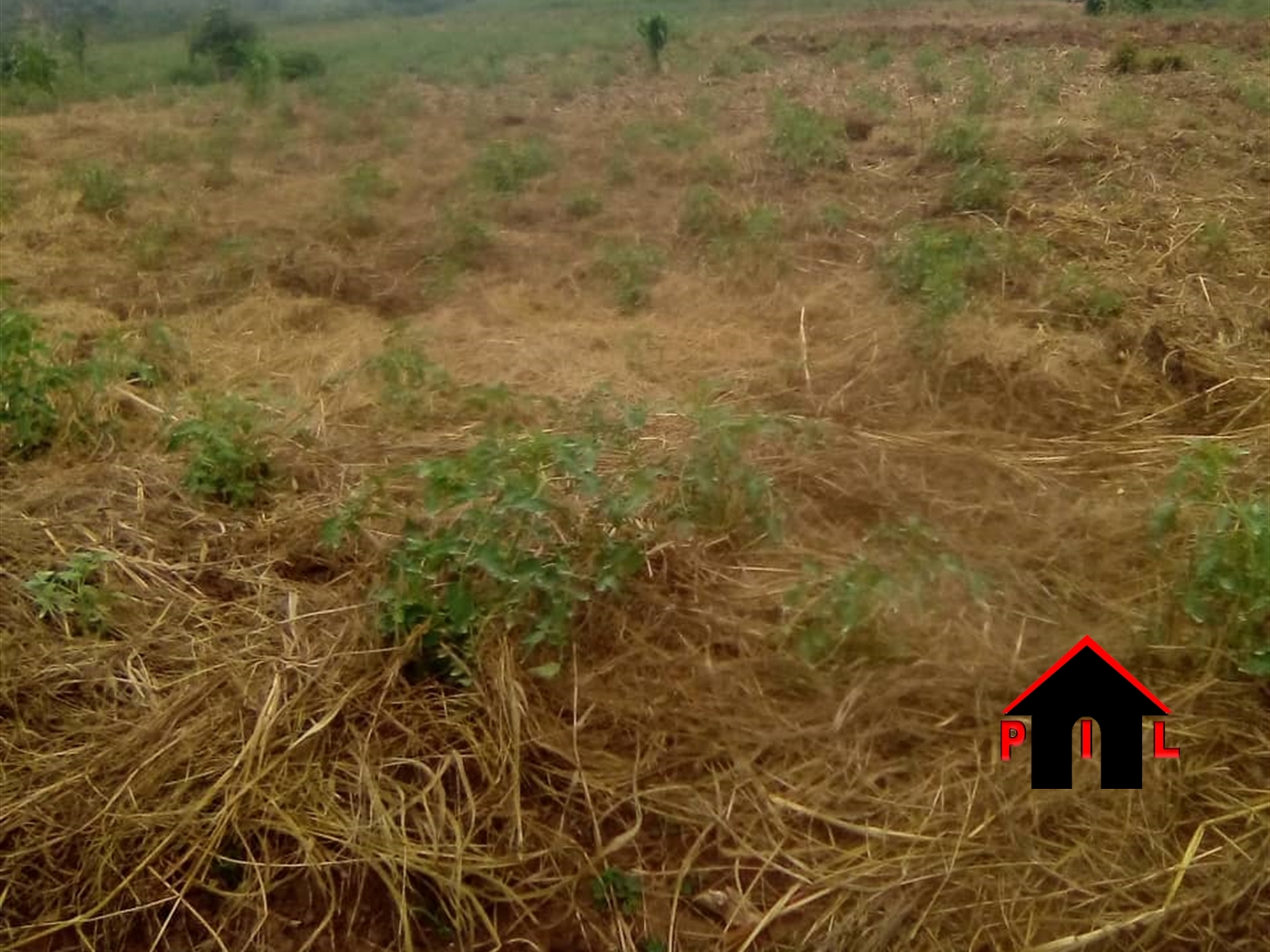 Agricultural Land for sale in Naama Mukono