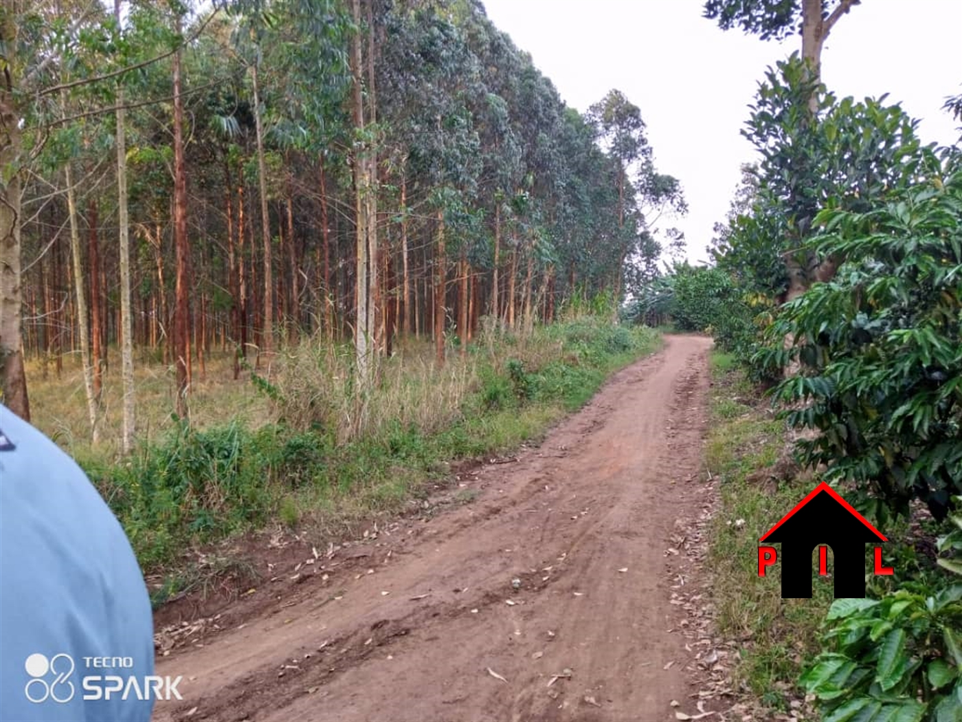 Agricultural Land for sale in Myanzi Mityana