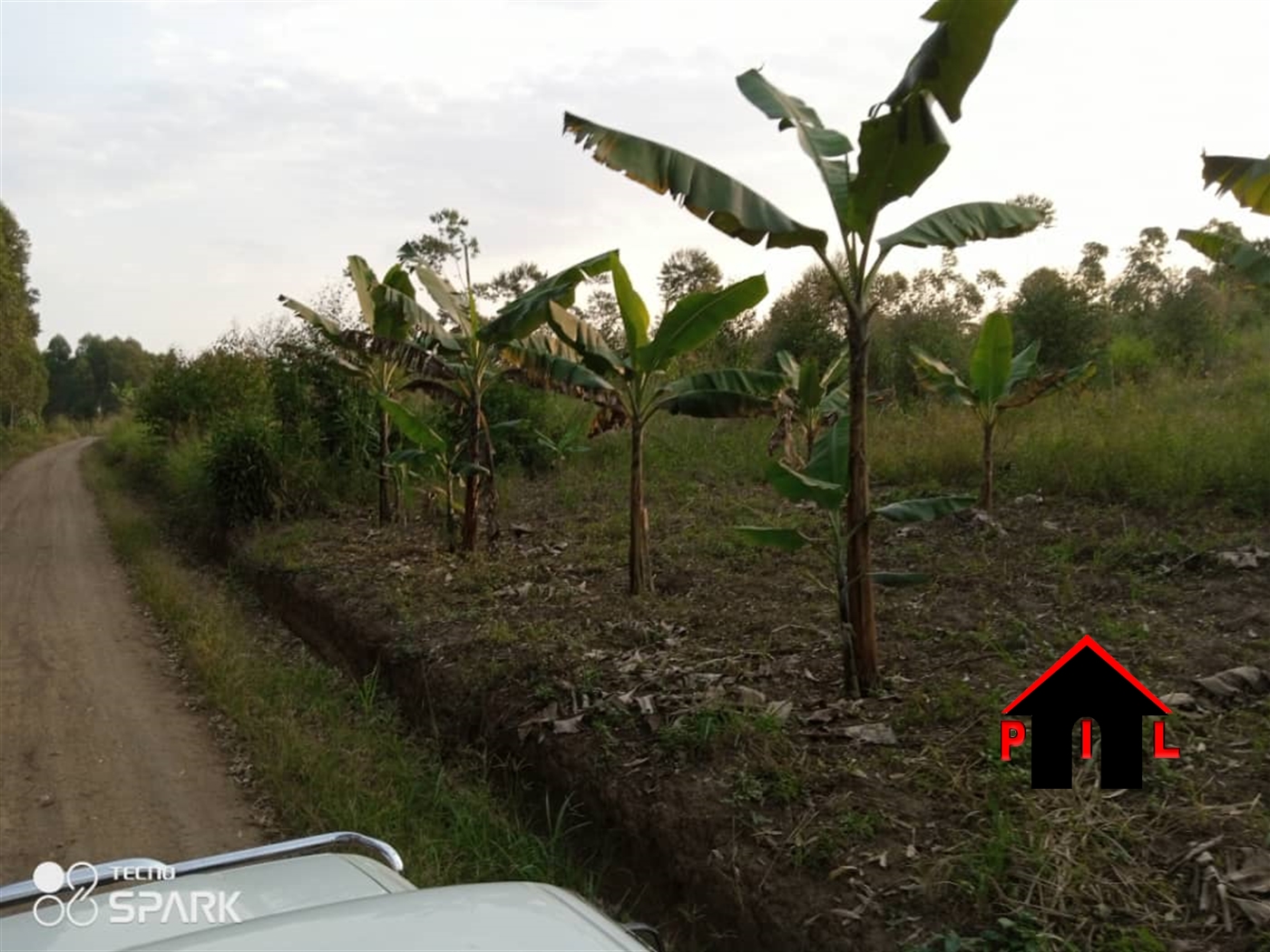 Agricultural Land for sale in Myanzi Mityana