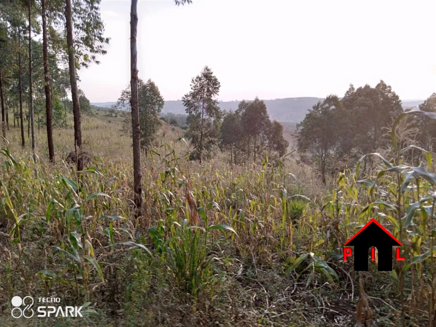 Agricultural Land for sale in Myanzi Mityana