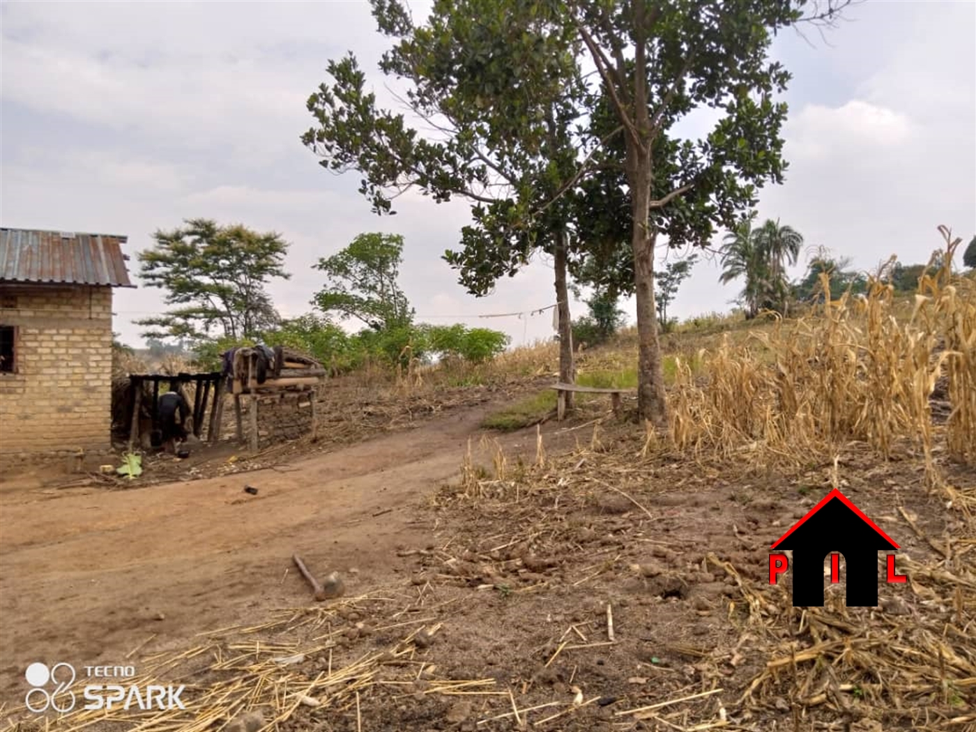 Agricultural Land for sale in Kassanda Mubende