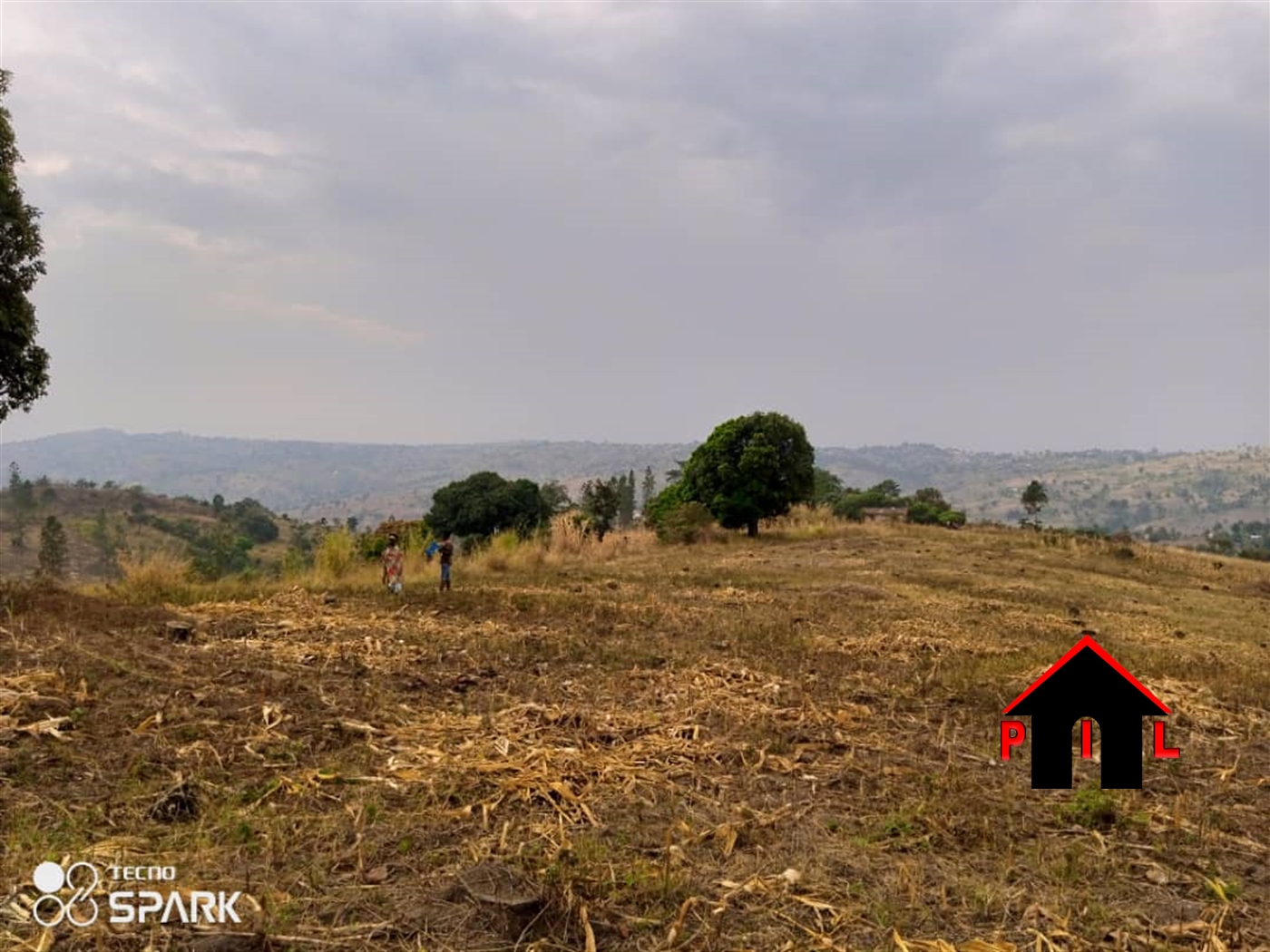 Agricultural Land for sale in Kassanda Mubende