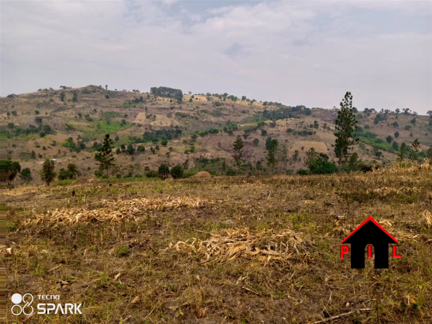 Agricultural Land for sale in Kassanda Mubende