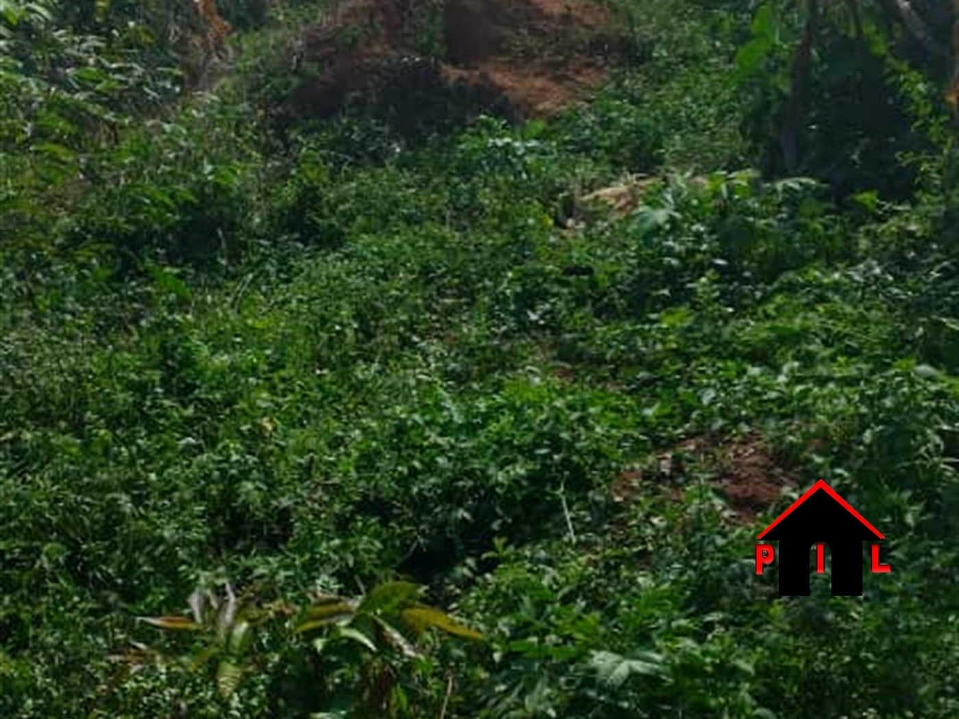 Residential Land for sale in Kisweera Mukono