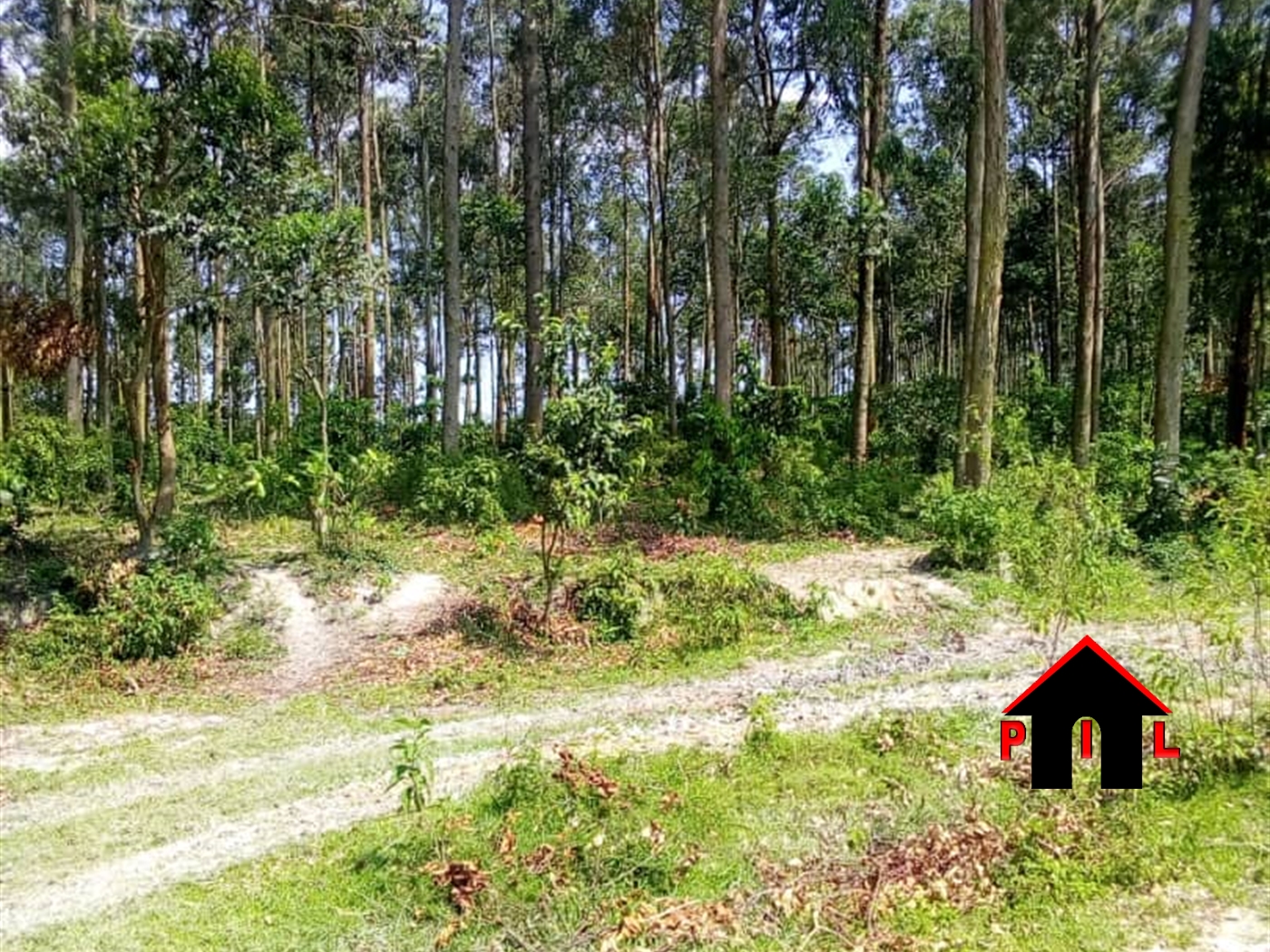 Agricultural Land for sale in Bukuya Mityana