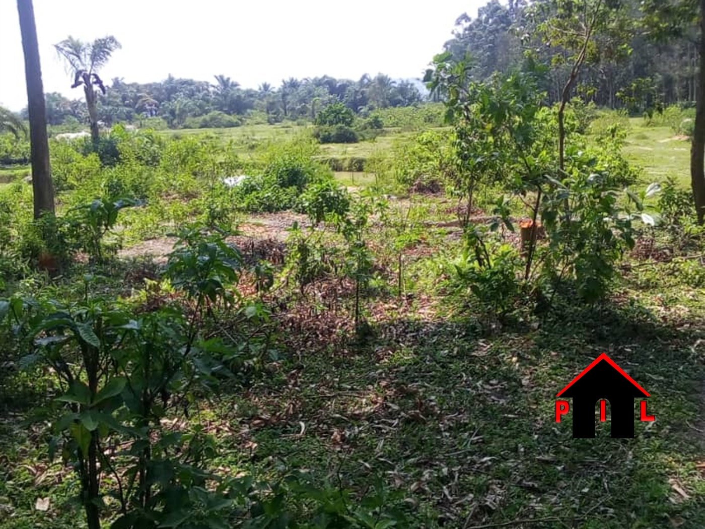 Agricultural Land for sale in Bukuya Mityana