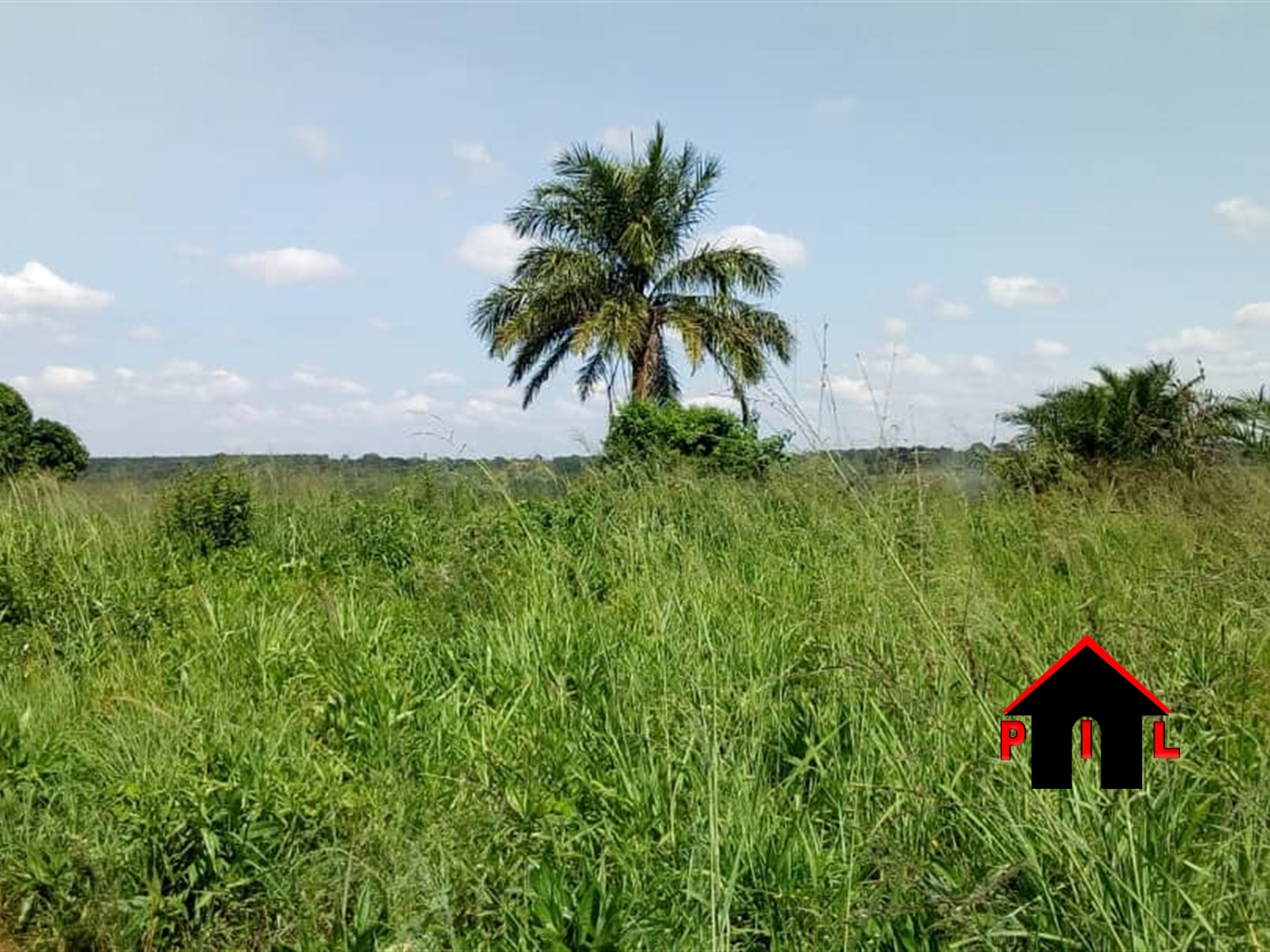 Agricultural Land for sale in Kayabwe Masaka