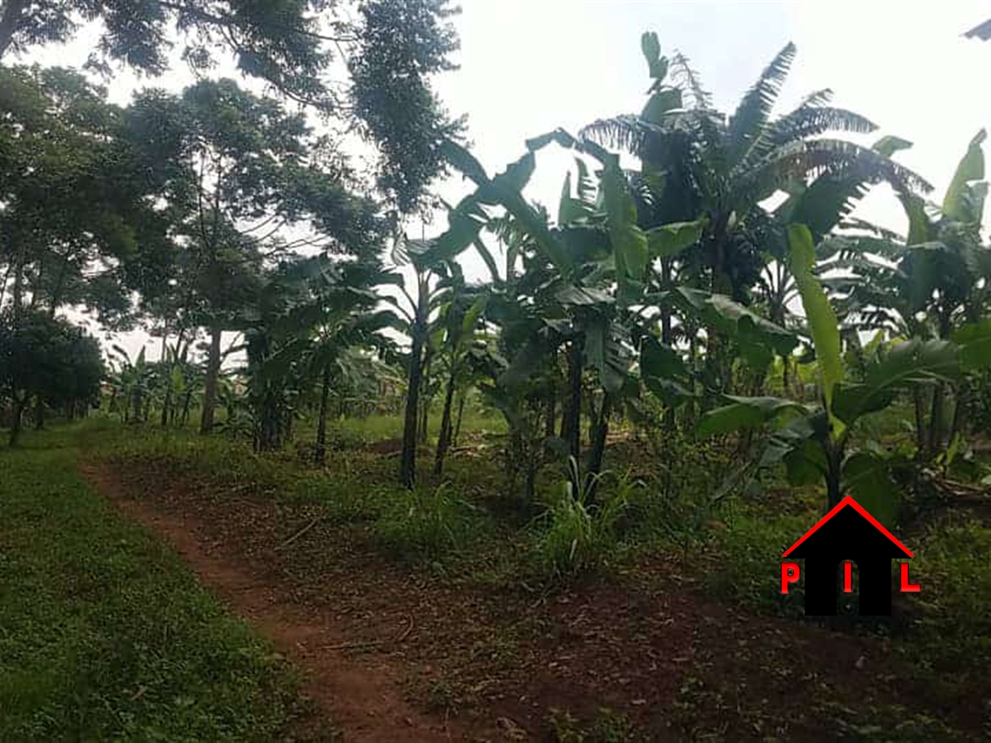 Residential Land for sale in Kiwenda Wakiso