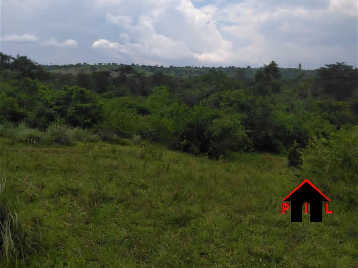 Agricultural Land for sale in Kyesiiga Masaka