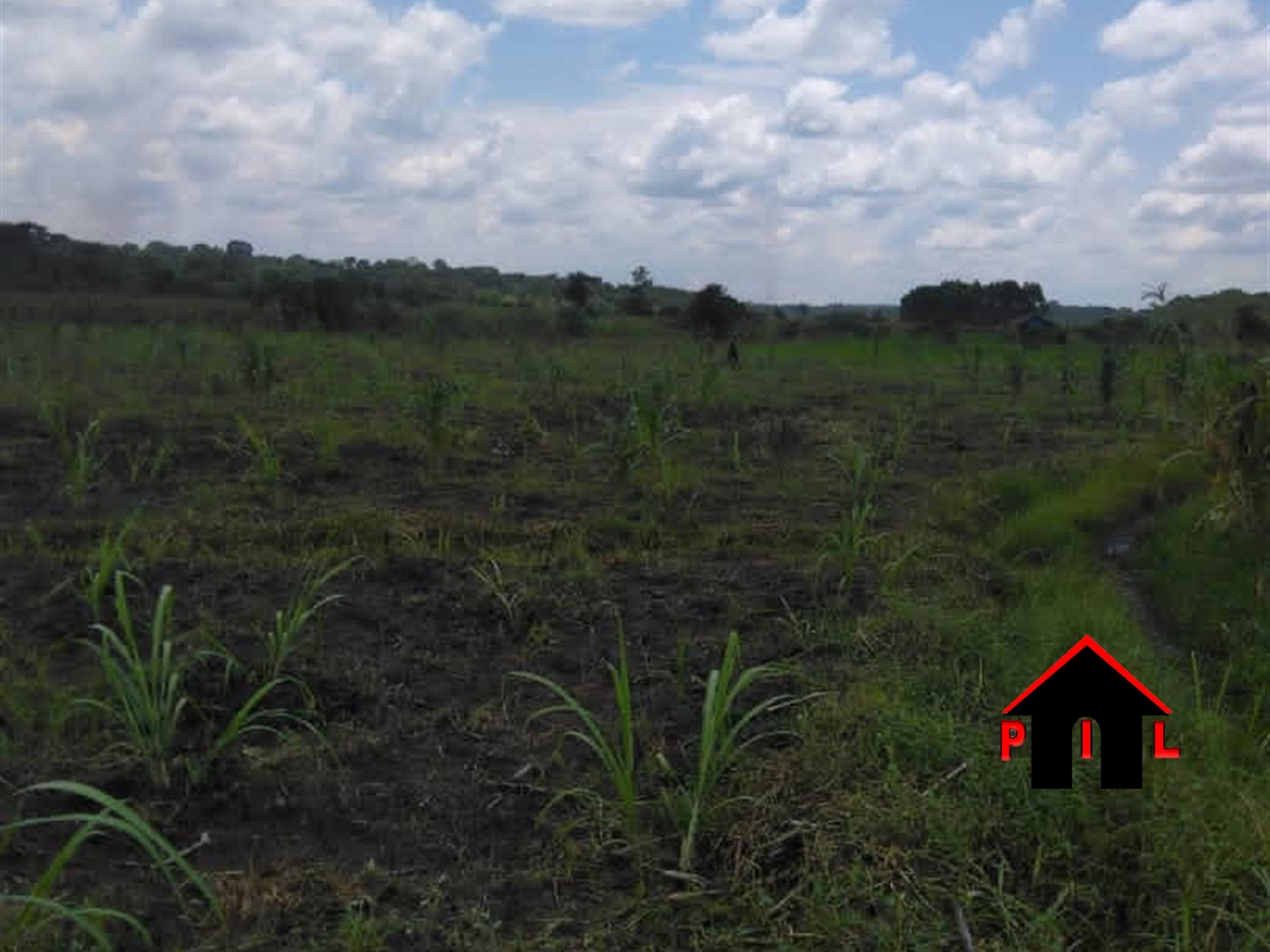 Agricultural Land for sale in Kasenselo Rakai
