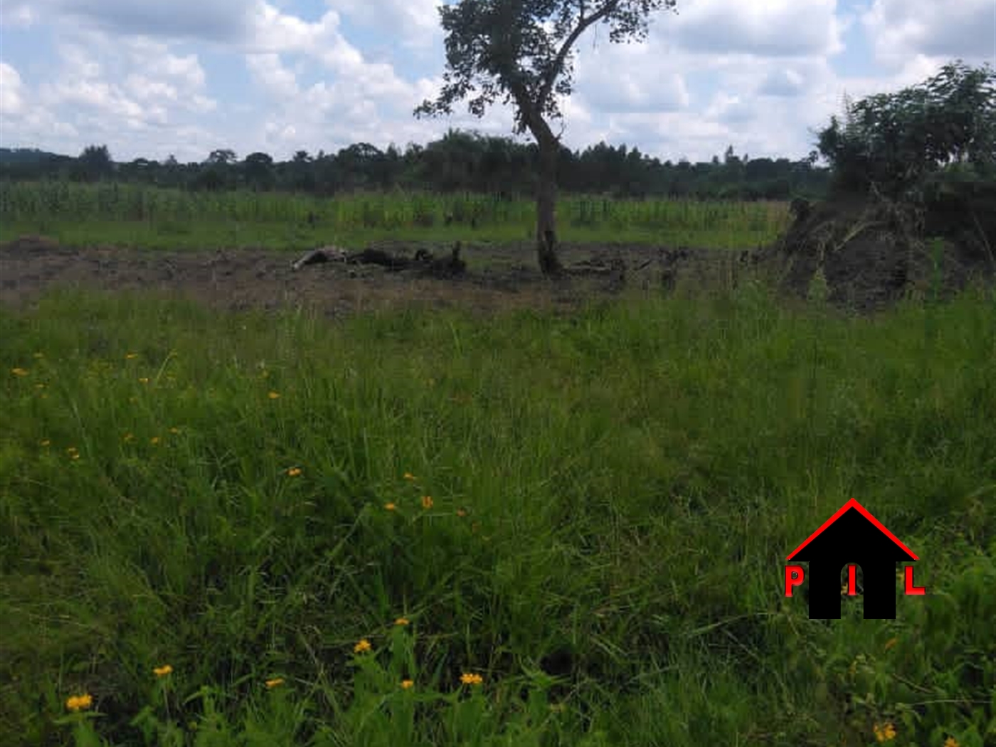 Agricultural Land for sale in Lukaya Masaka