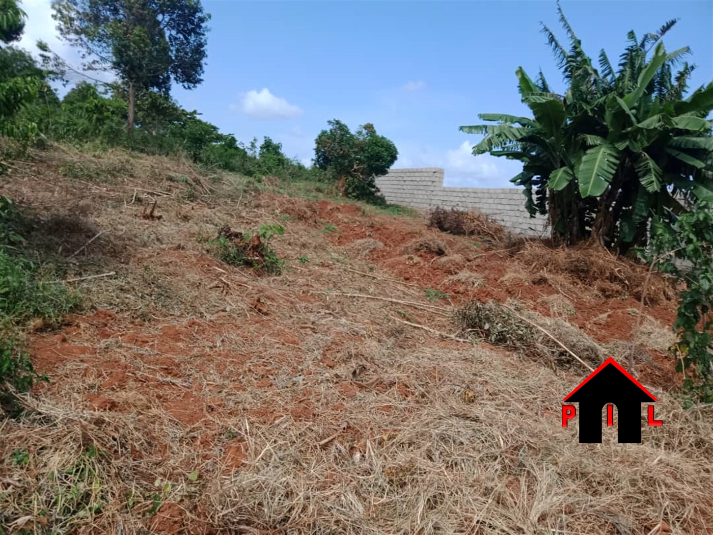 Agricultural Land for sale in Nabugabo Masaka