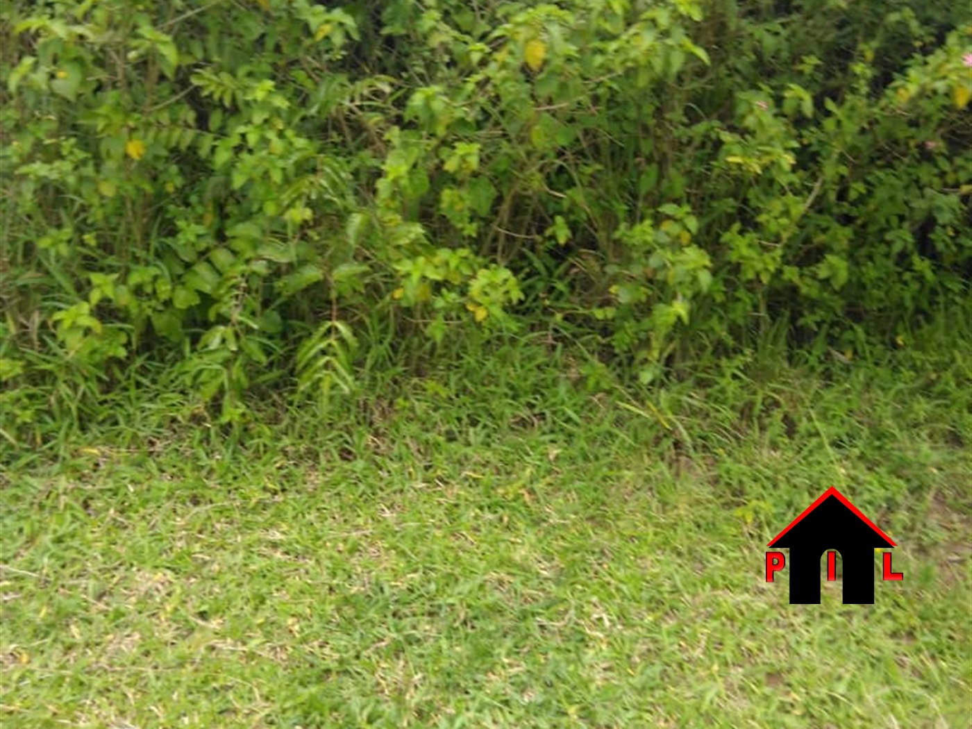 Agricultural Land for sale in Kilaga Masaka