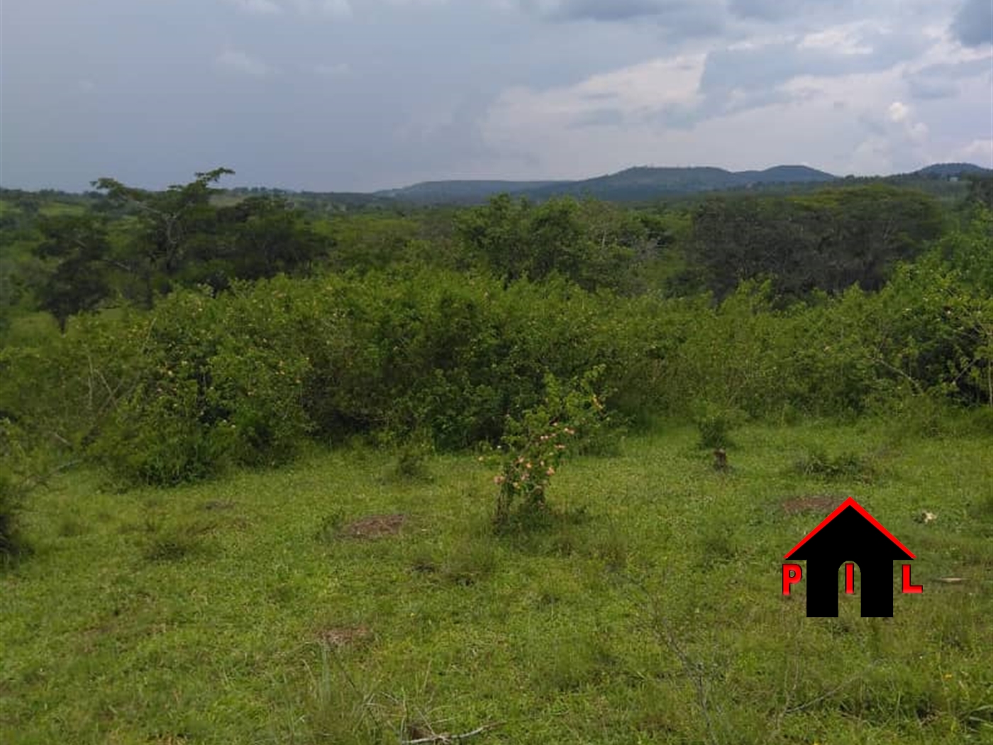 Agricultural Land for sale in Ngado Butambala