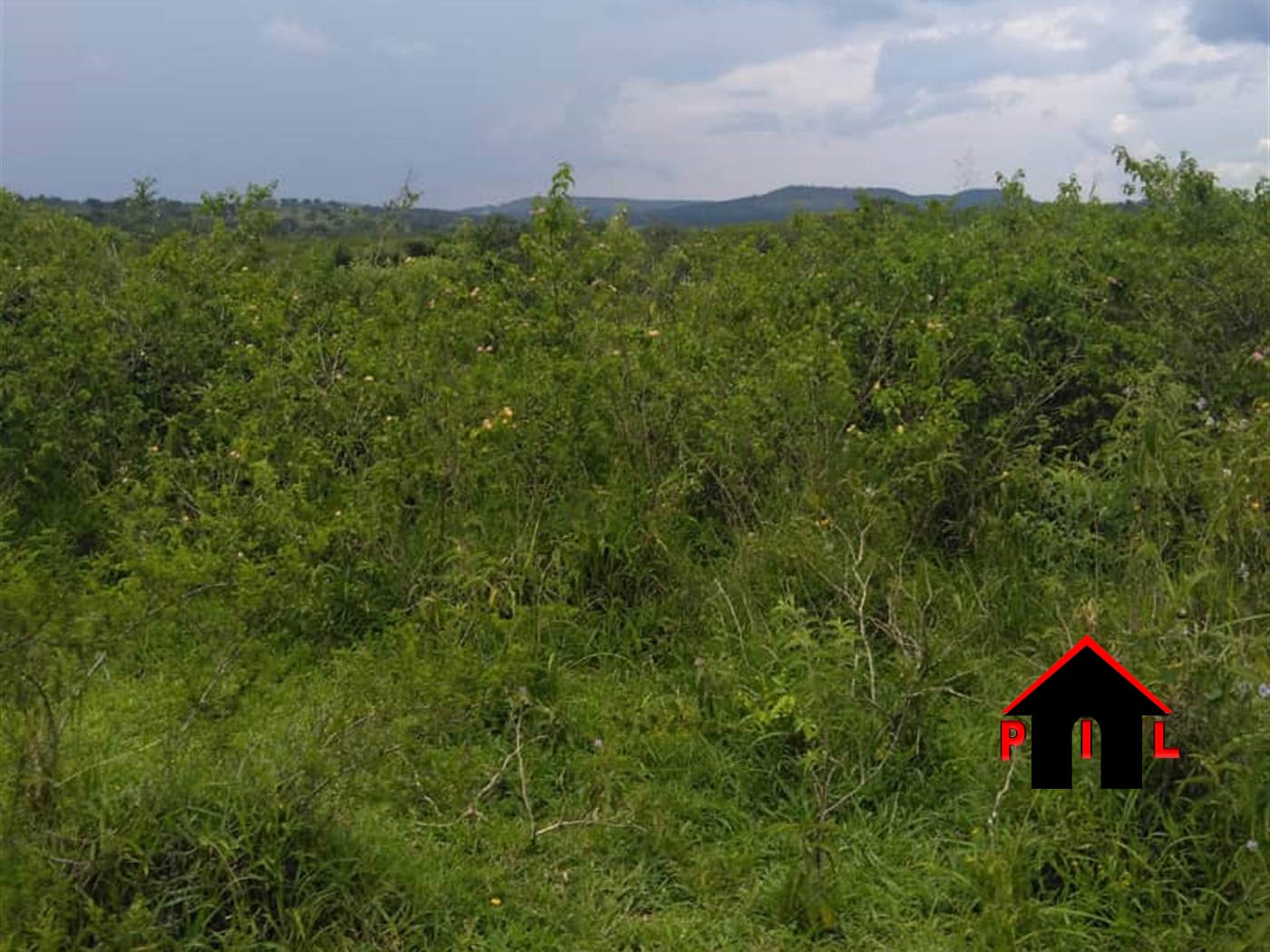 Agricultural Land for sale in Lukaya Kalungu